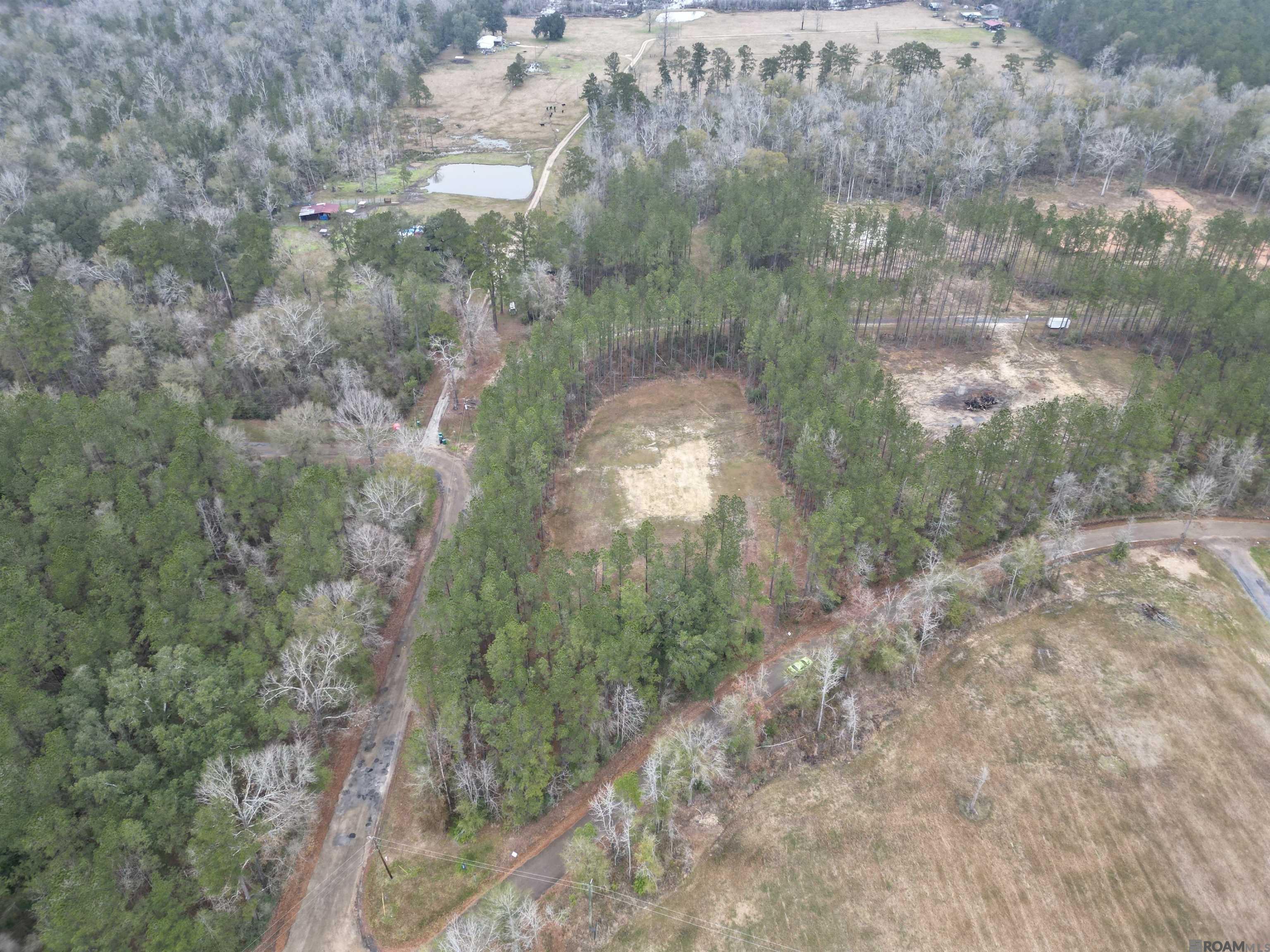 39735 Sand Hill Rd, Walker, Louisiana image 4