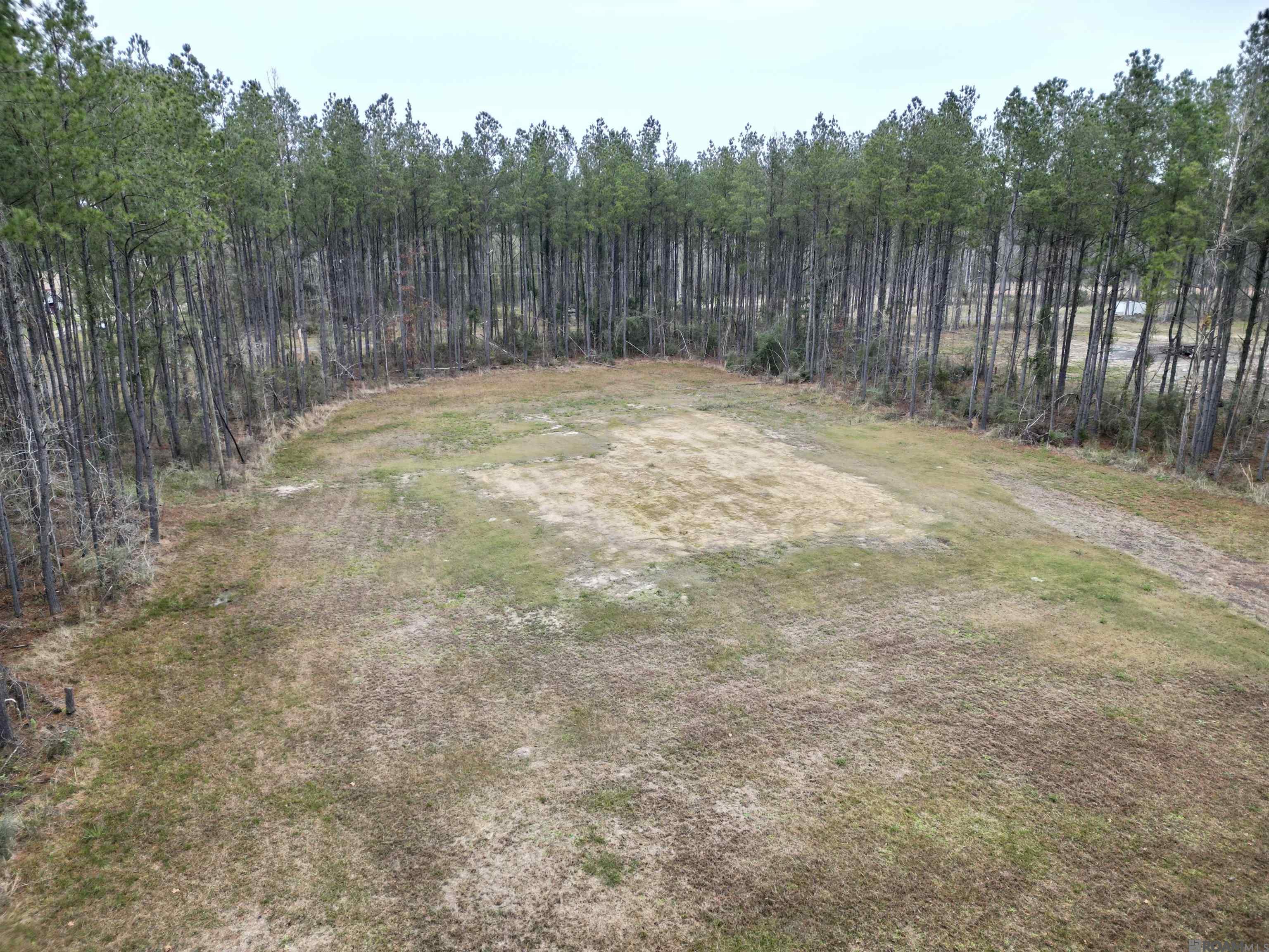 39735 Sand Hill Rd, Walker, Louisiana image 2