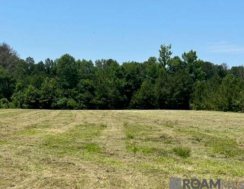 Vacant Land For Sale - LOT 1 Freeland Rd<br/> Saint Francisville, LA 70775
