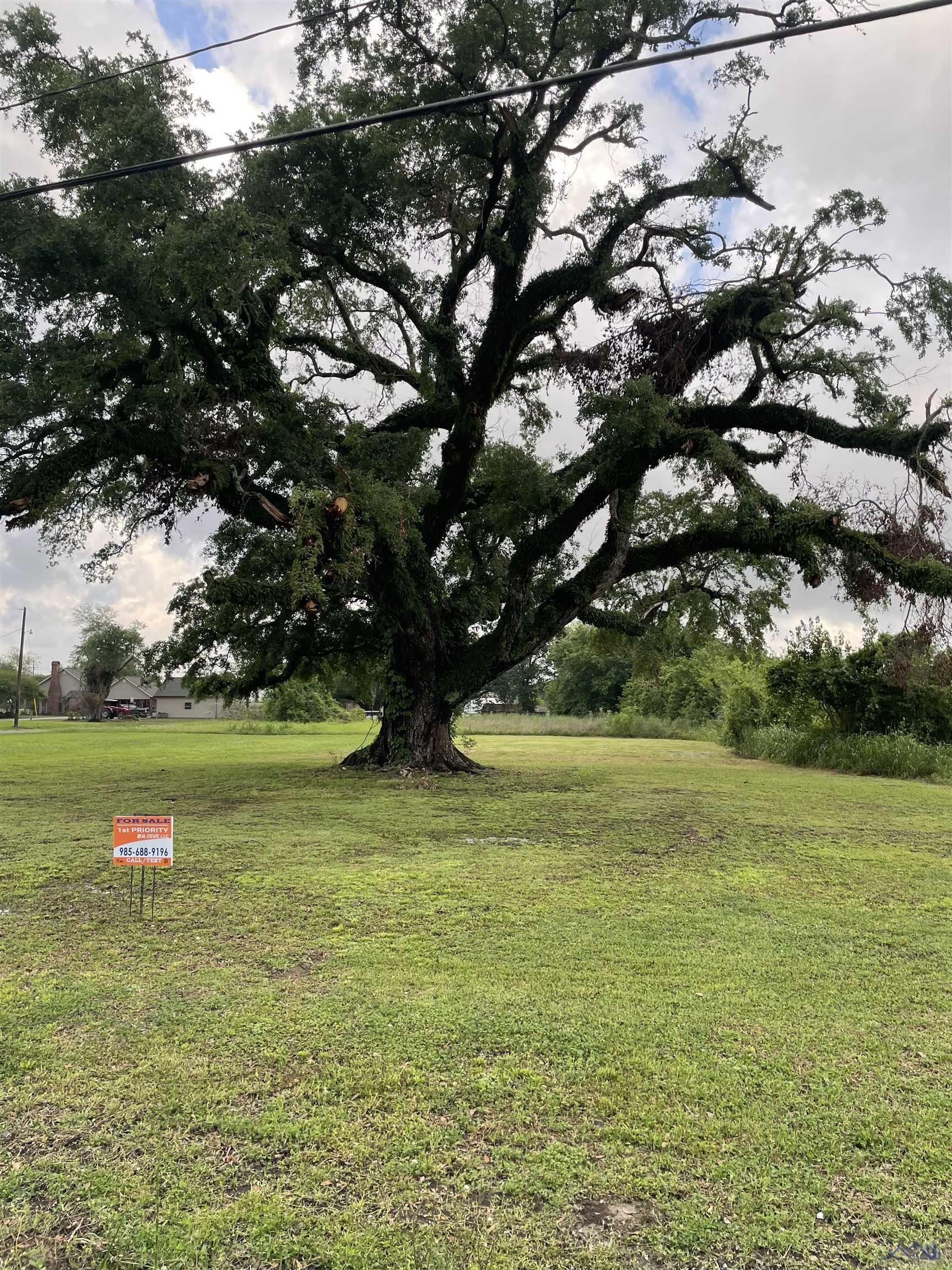 Highway 1011, Napoleonville, Louisiana image 1