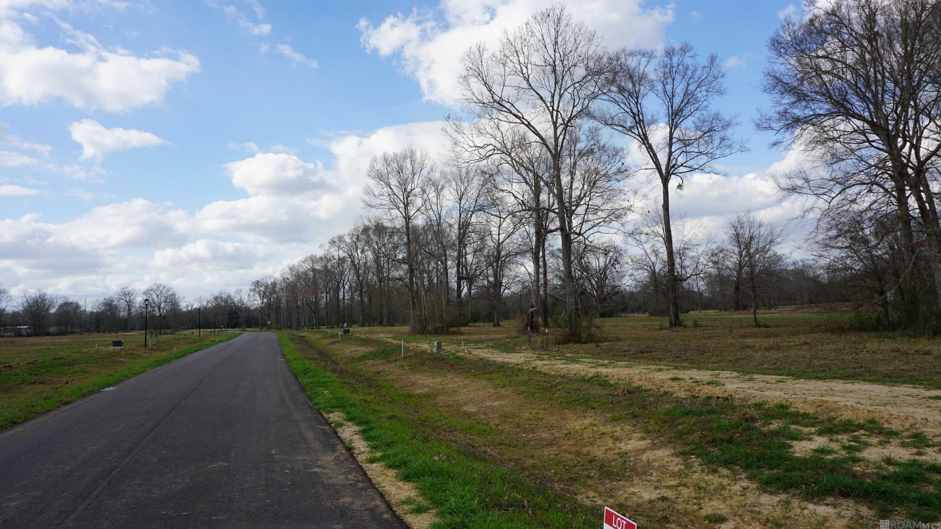 GranLake Lot 25 La Hwy 68, Jackson, Louisiana image 21