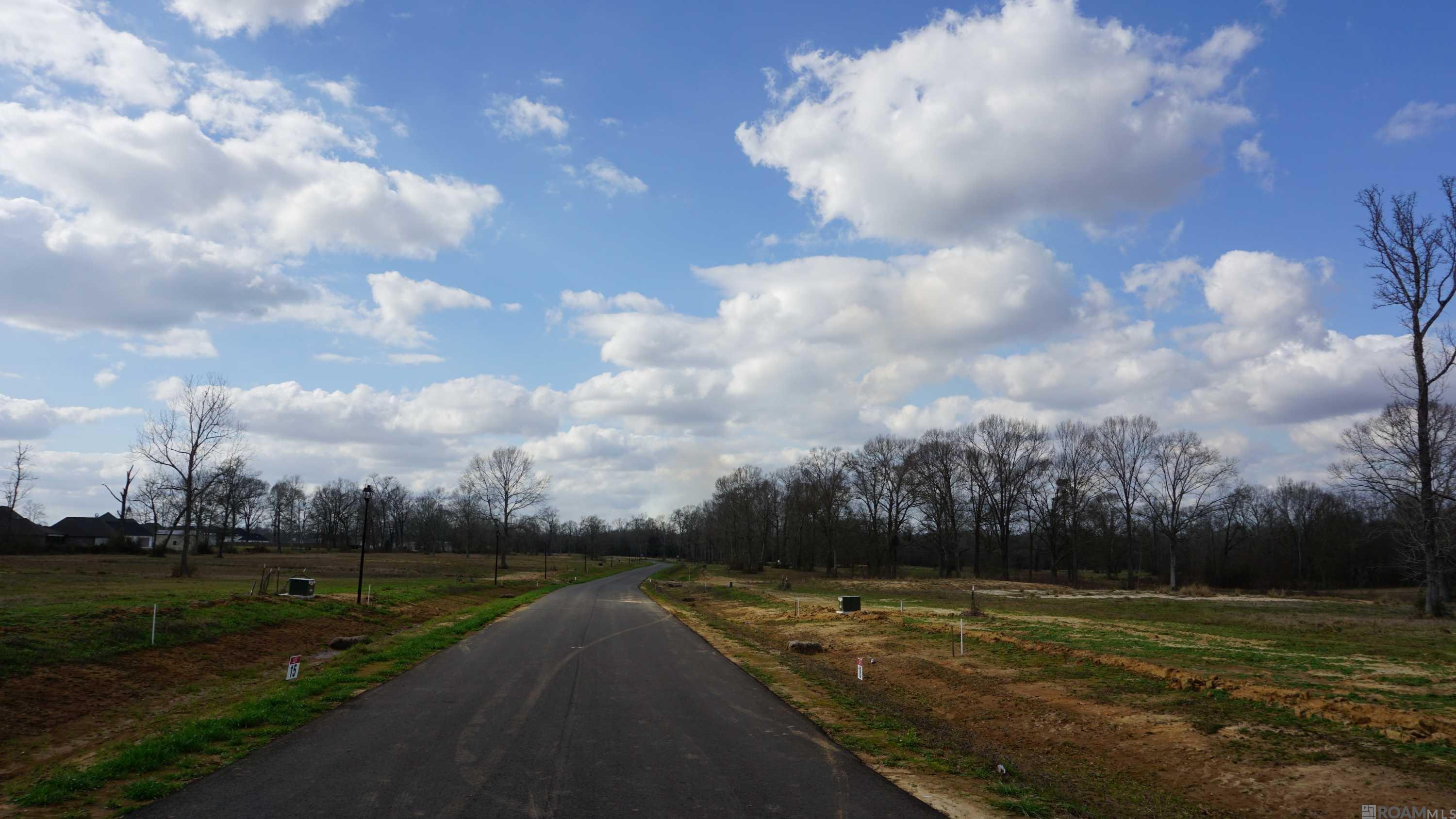 GranLake Lot 25 La Hwy 68, Jackson, Louisiana image 19