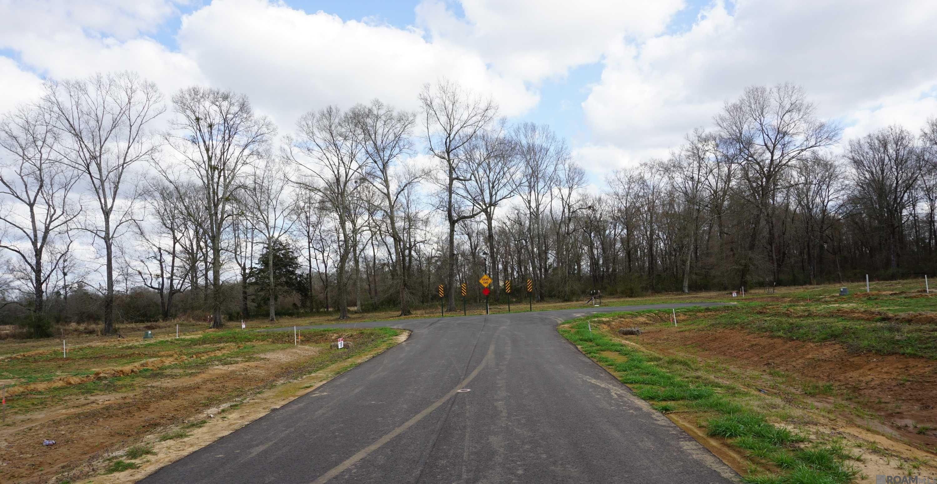 GranLake Lot 25 La Hwy 68, Jackson, Louisiana image 17