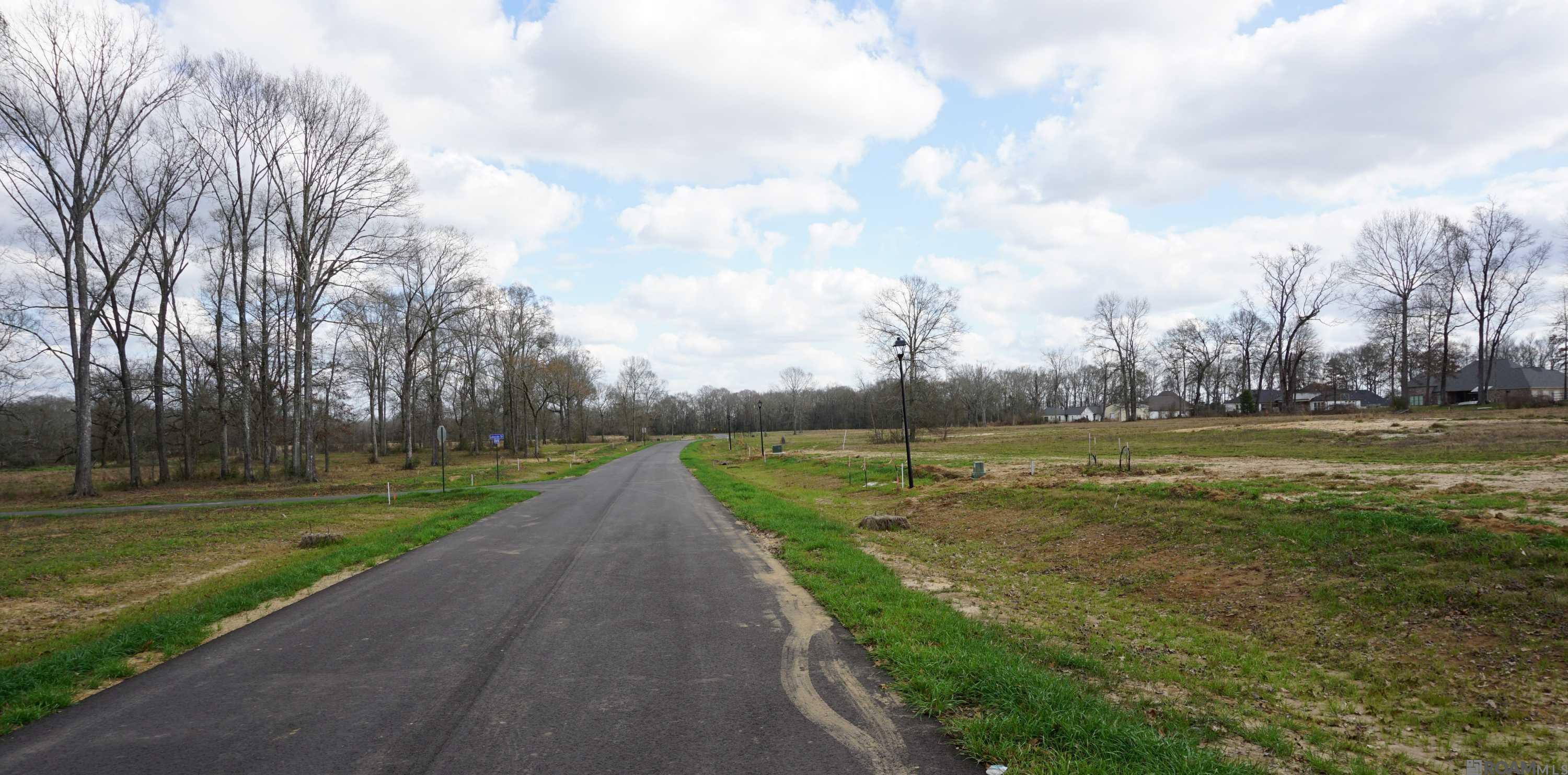 GranLake Lot 25 La Hwy 68, Jackson, Louisiana image 12