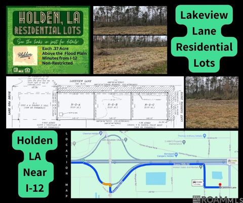 Vacant Land For Sale - TBD LOT N-2-A Lakeview Ln<br/> Holden, LA 70744