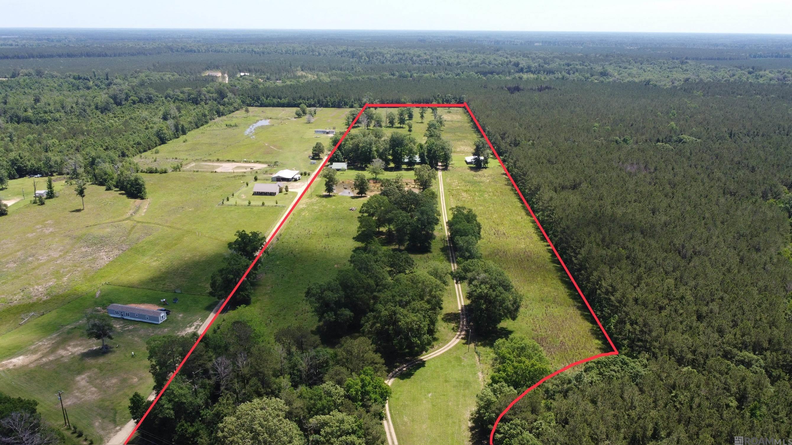 472 La Hwy 449, Pine Grove, Louisiana image 2