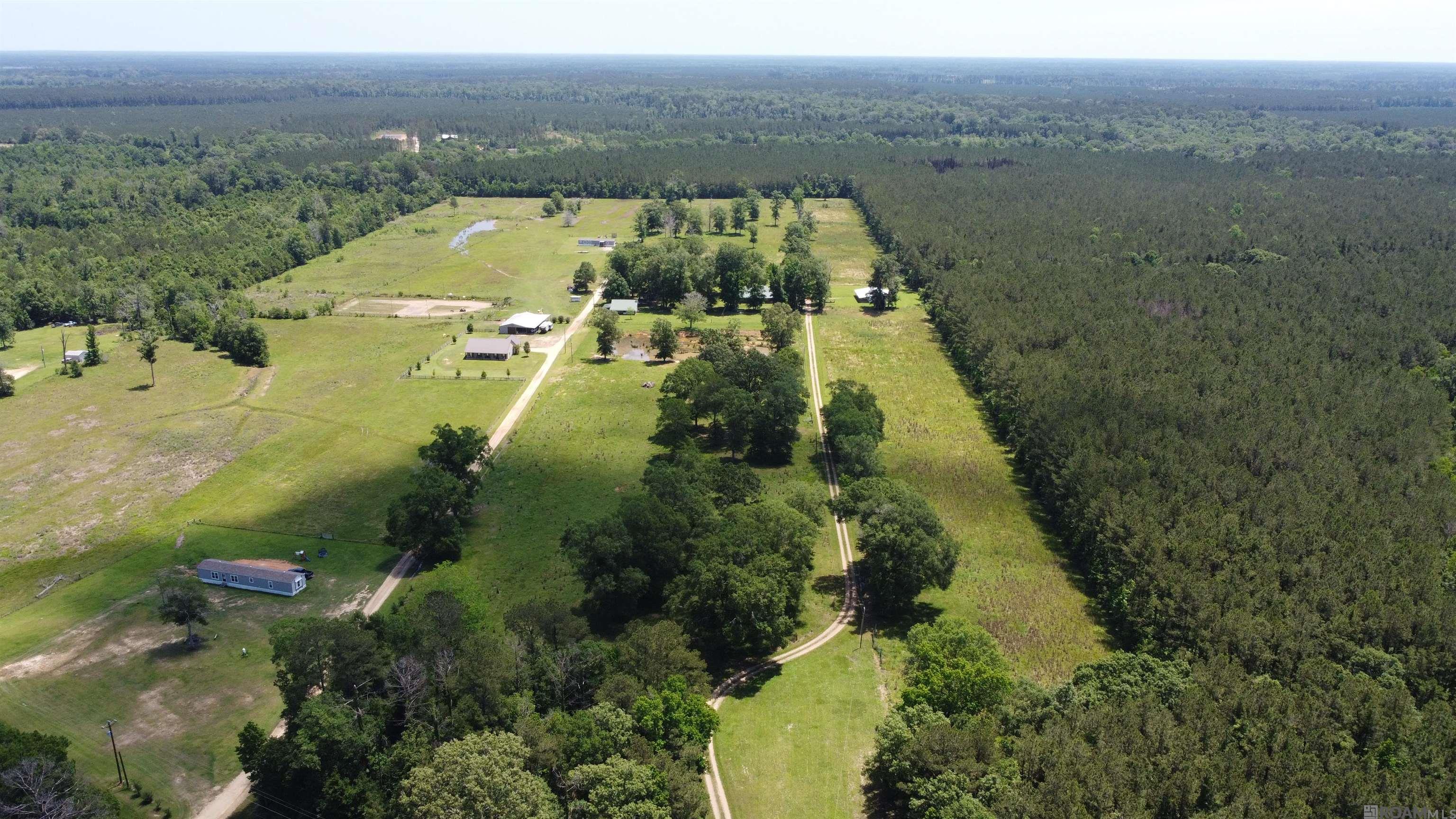 472 La Hwy 449, Pine Grove, Louisiana image 27