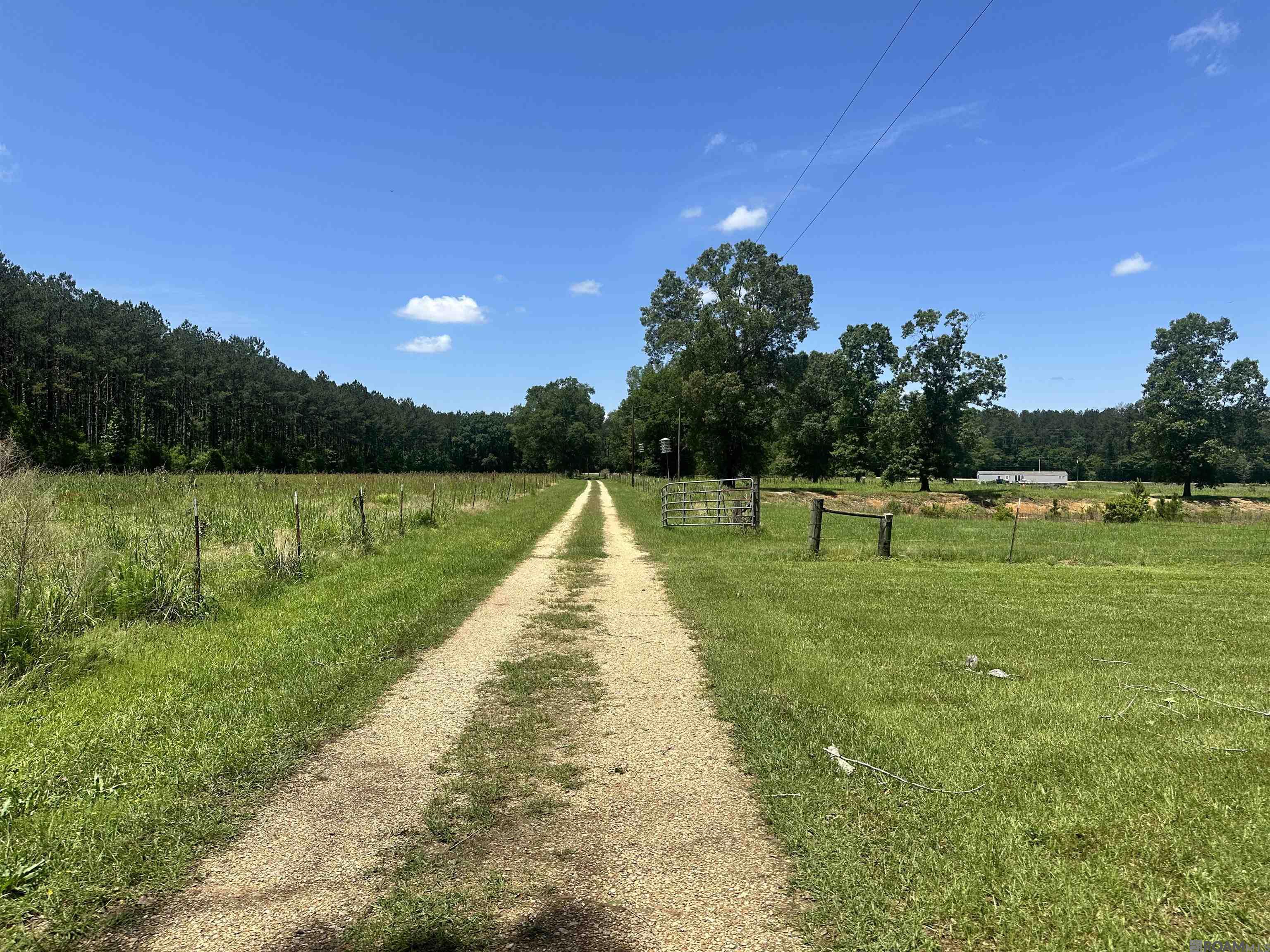 472 La Hwy 449, Pine Grove, Louisiana image 24