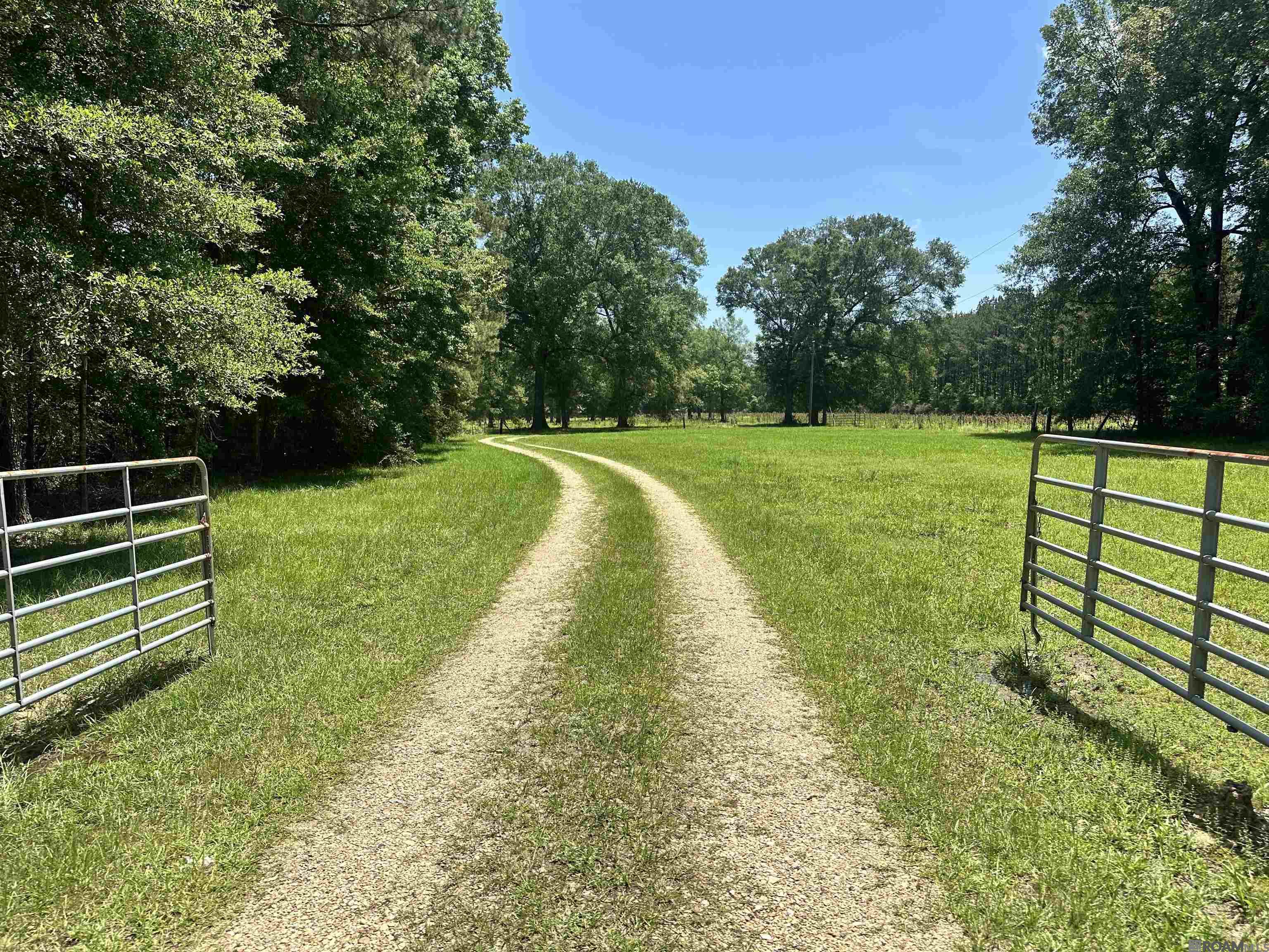 472 La Hwy 449, Pine Grove, Louisiana image 3