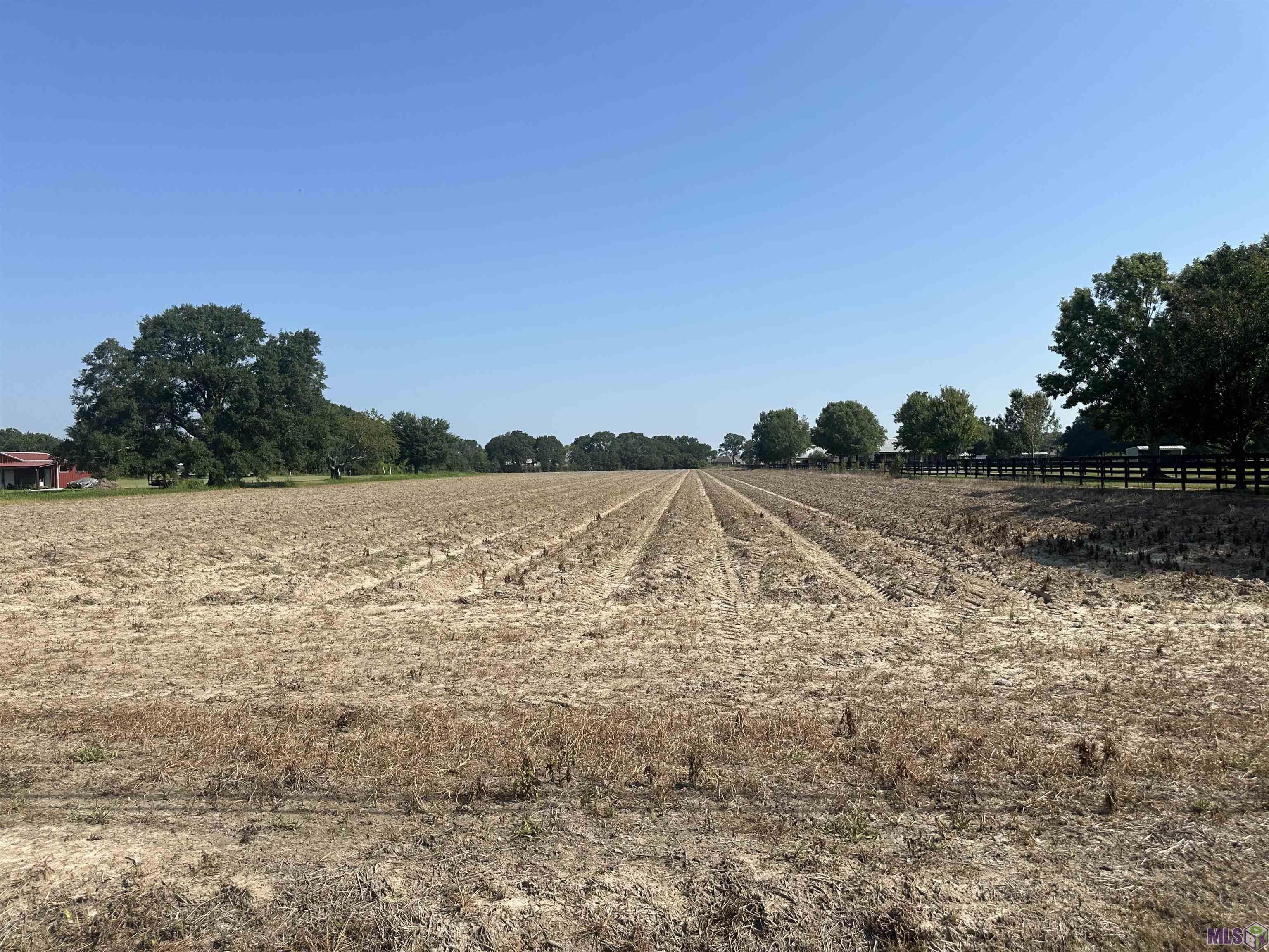 5.14 Acres Langlinais Rd, Youngsville, Louisiana image 8