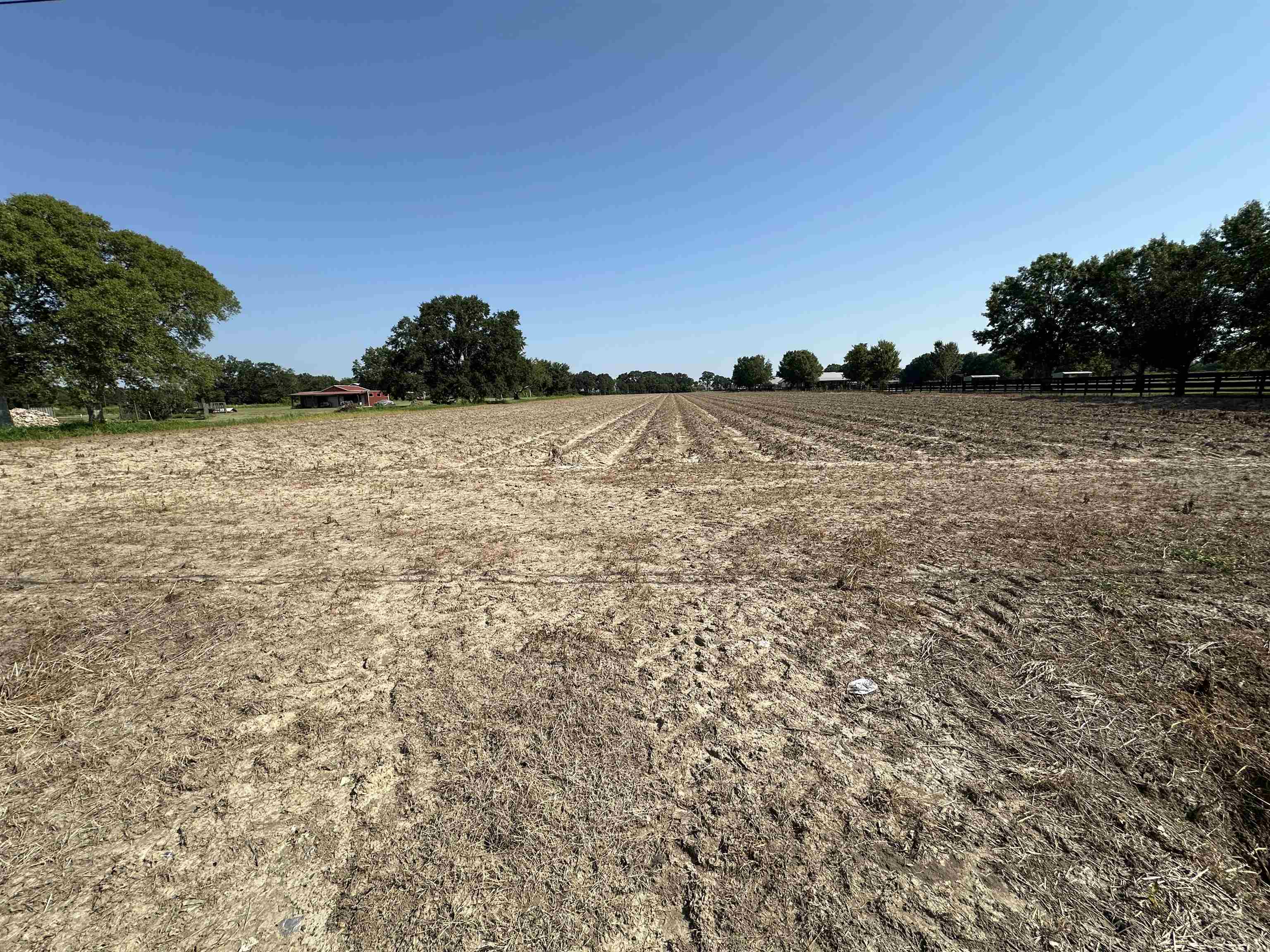 5.14 Acres Langlinais Rd, Youngsville, Louisiana image 9