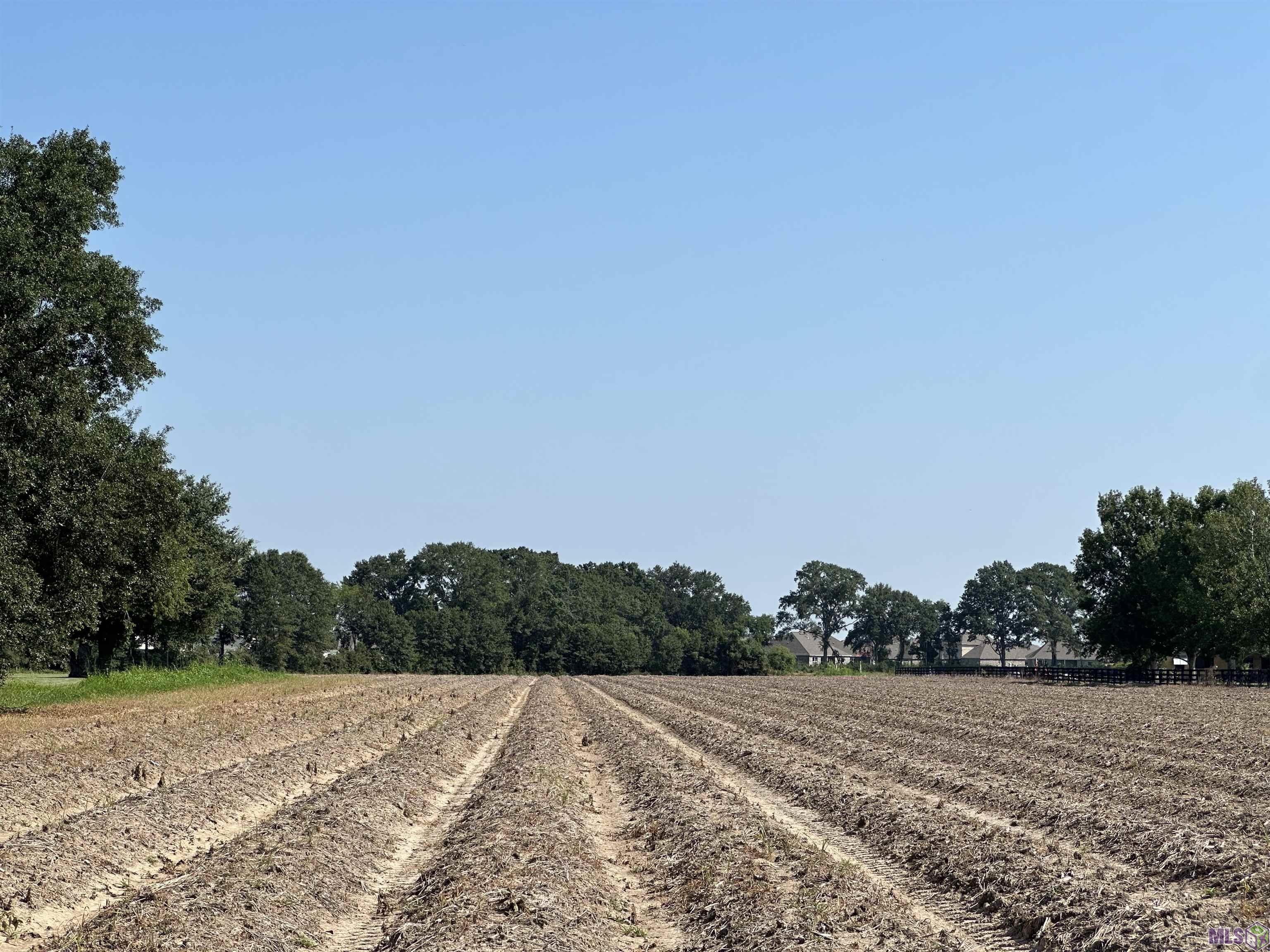 5.14 Acres Langlinais Rd, Youngsville, Louisiana image 5