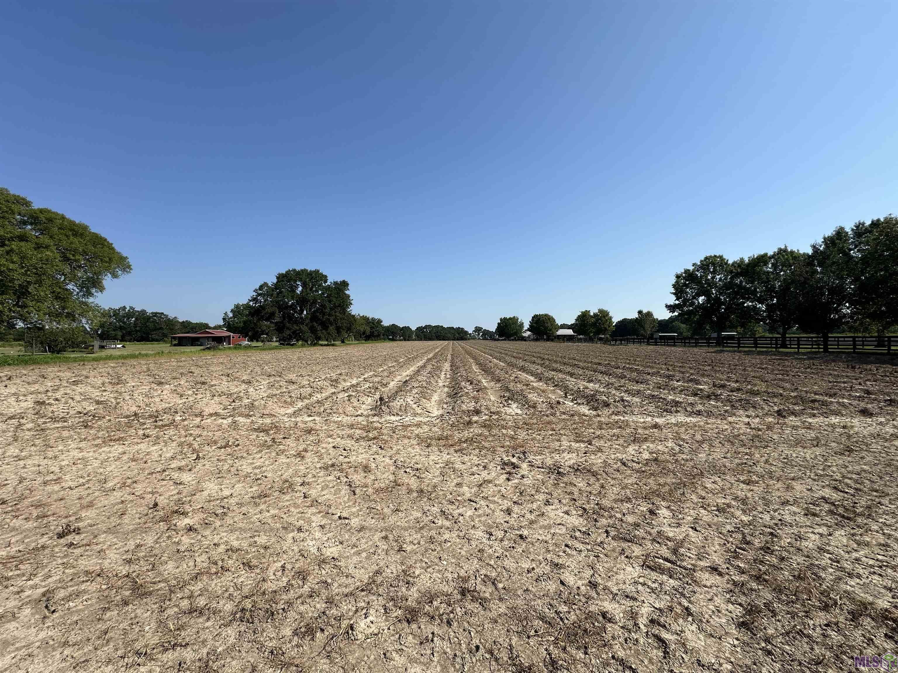 5.14 Acres Langlinais Rd, Youngsville, Louisiana image 6