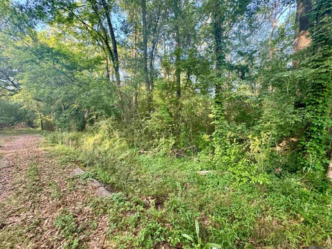 Vacant Land For Sale - LOT F Hazeloak Dr<br/> East Baton Rouge County, Baker, LA 70714