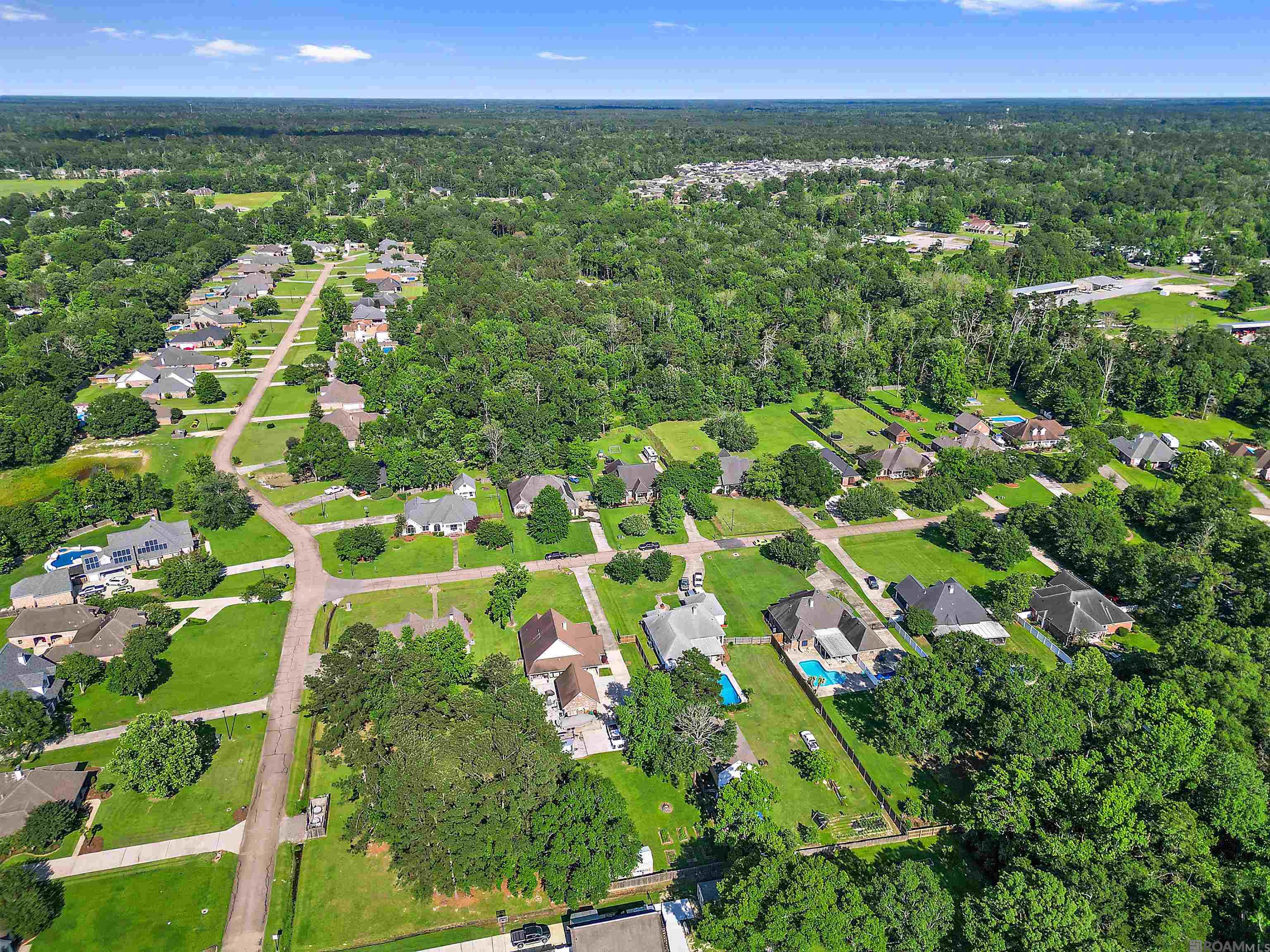 35150 Stone Castle Dr, Denham Springs, Louisiana image 23