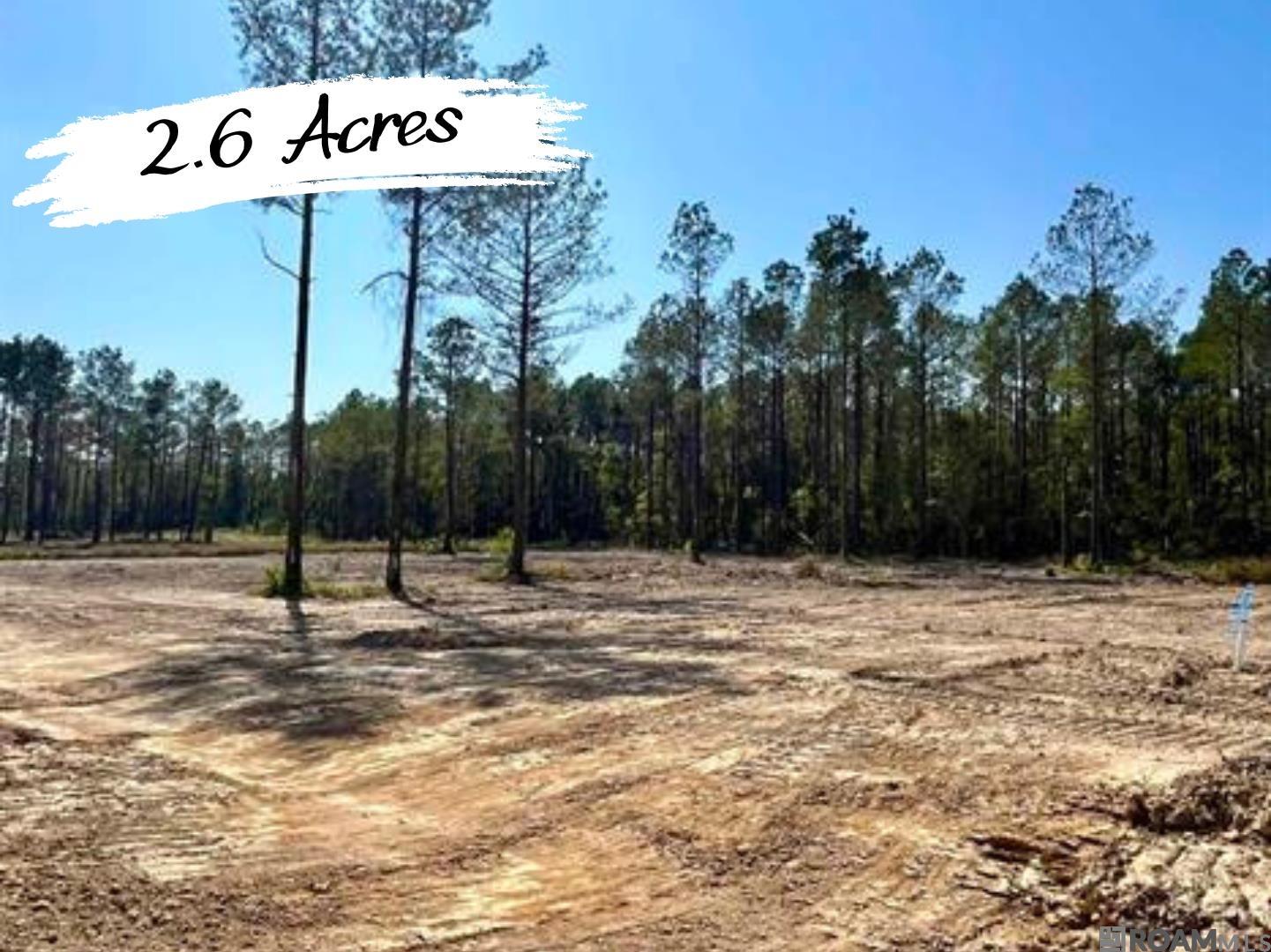 26487 Wagon Wheel Drive, Holden, Louisiana image 1