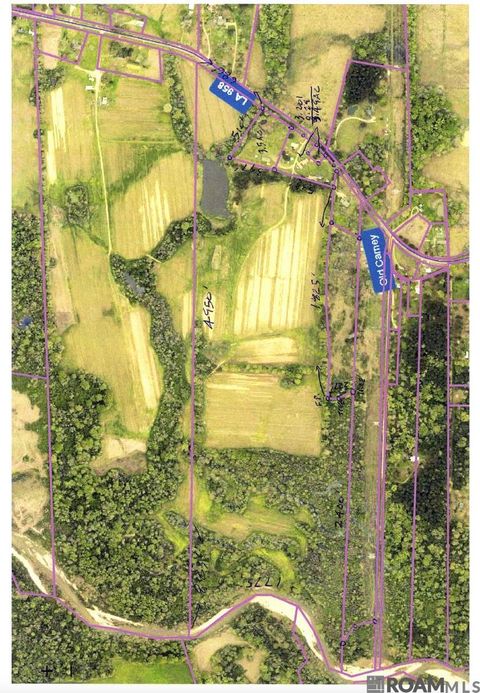Vacant Land For Sale - TBD La Hwy 958<br/> Slaughter, LA 70777