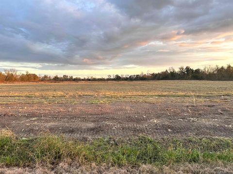 Vacant Land For Sale - LOT #6 La Hwy 22<br/> Darrow, LA 70725