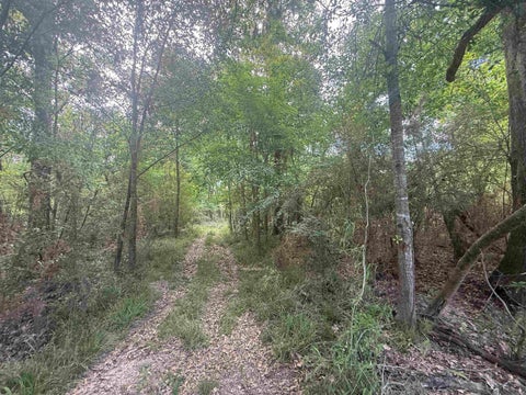 Vacant Land For Sale - LOT-138 Amite River Rd<br/> Baton Rouge, LA 70817