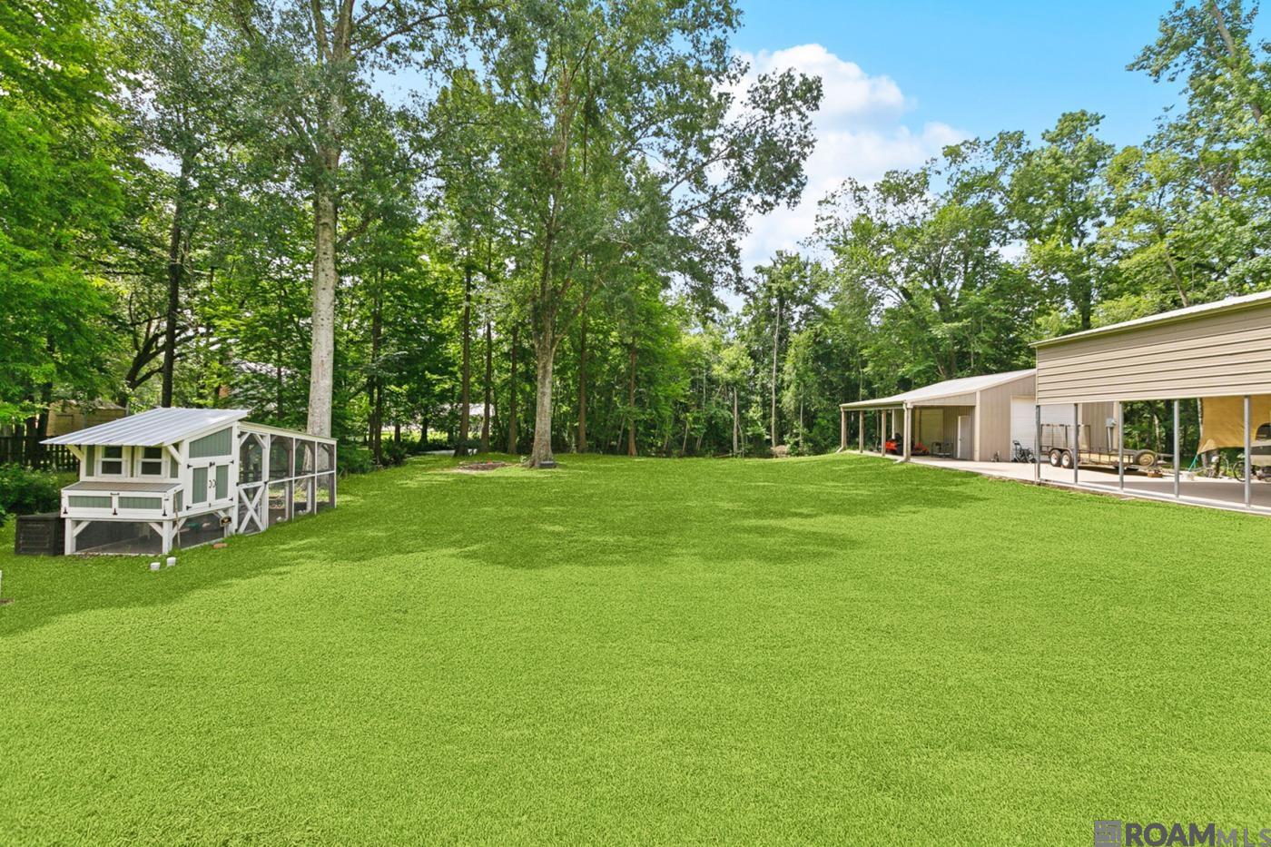 10573 Shadowlake Dr, Geismar, Louisiana image 23