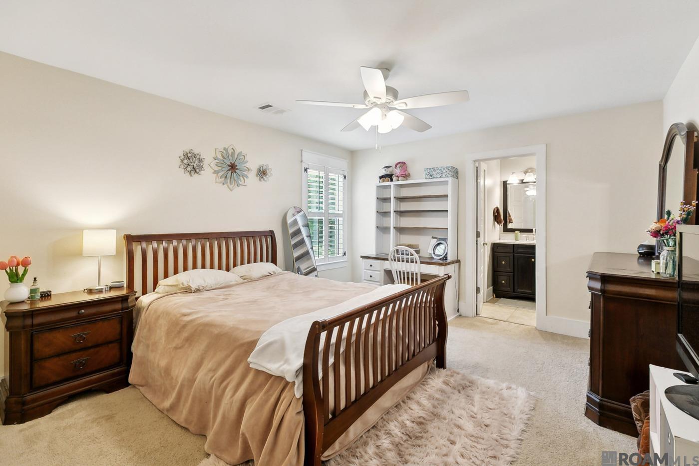 10573 Shadowlake Dr, Geismar, Louisiana image 17