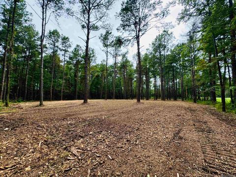 Vacant Land For Sale - SF-2 La Hwy 16<br/> Saint Helena County, Denham Springs, LA 70706