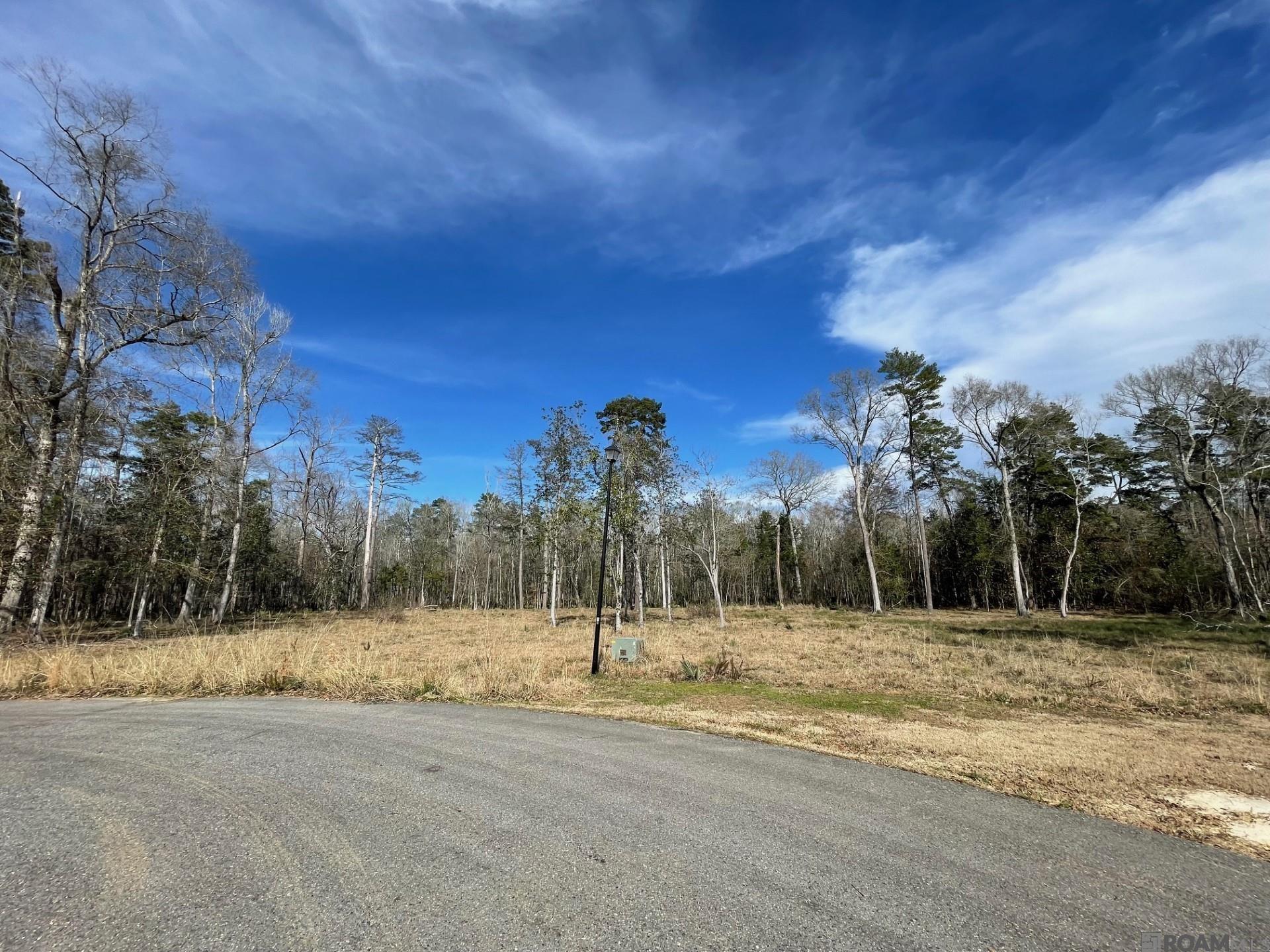 Lot 9 Ridgeway Ave, Denham Springs, Louisiana image 3