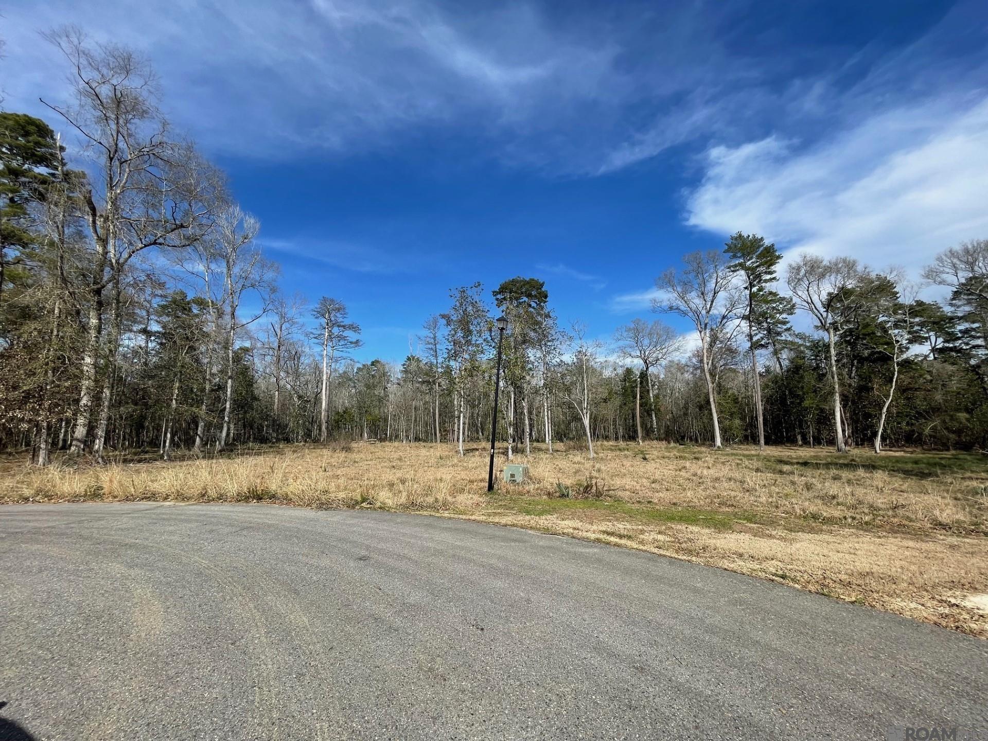 Lot 9 Ridgeway Ave, Denham Springs, Louisiana image 4