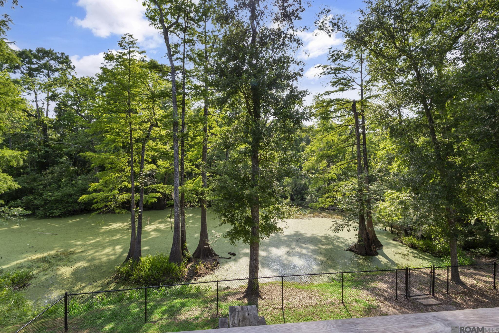 17389 Lake St, Prairieville, Louisiana image 17