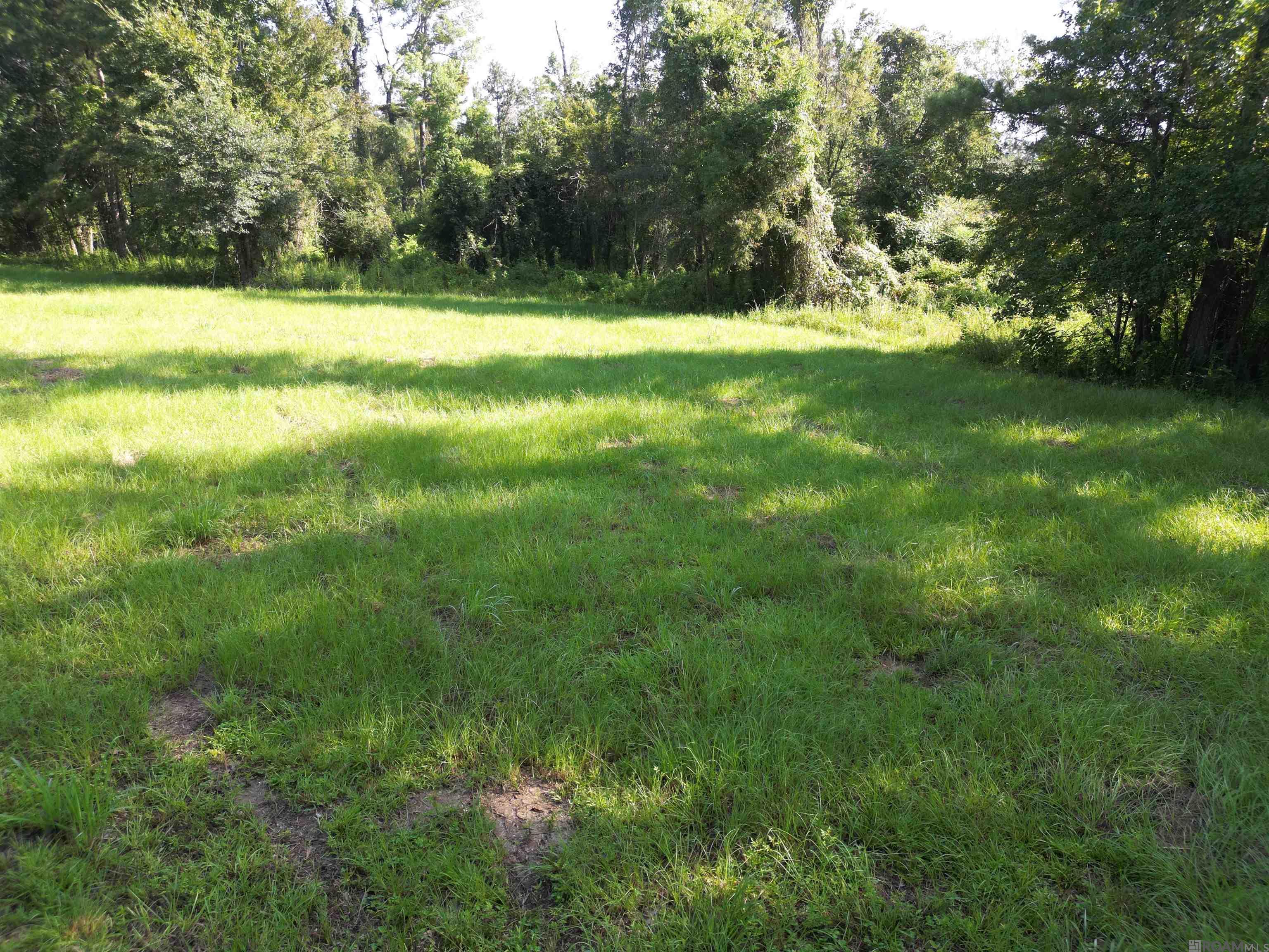 LOT 9-B Mayberry Lane, Livingston, Louisiana image 8