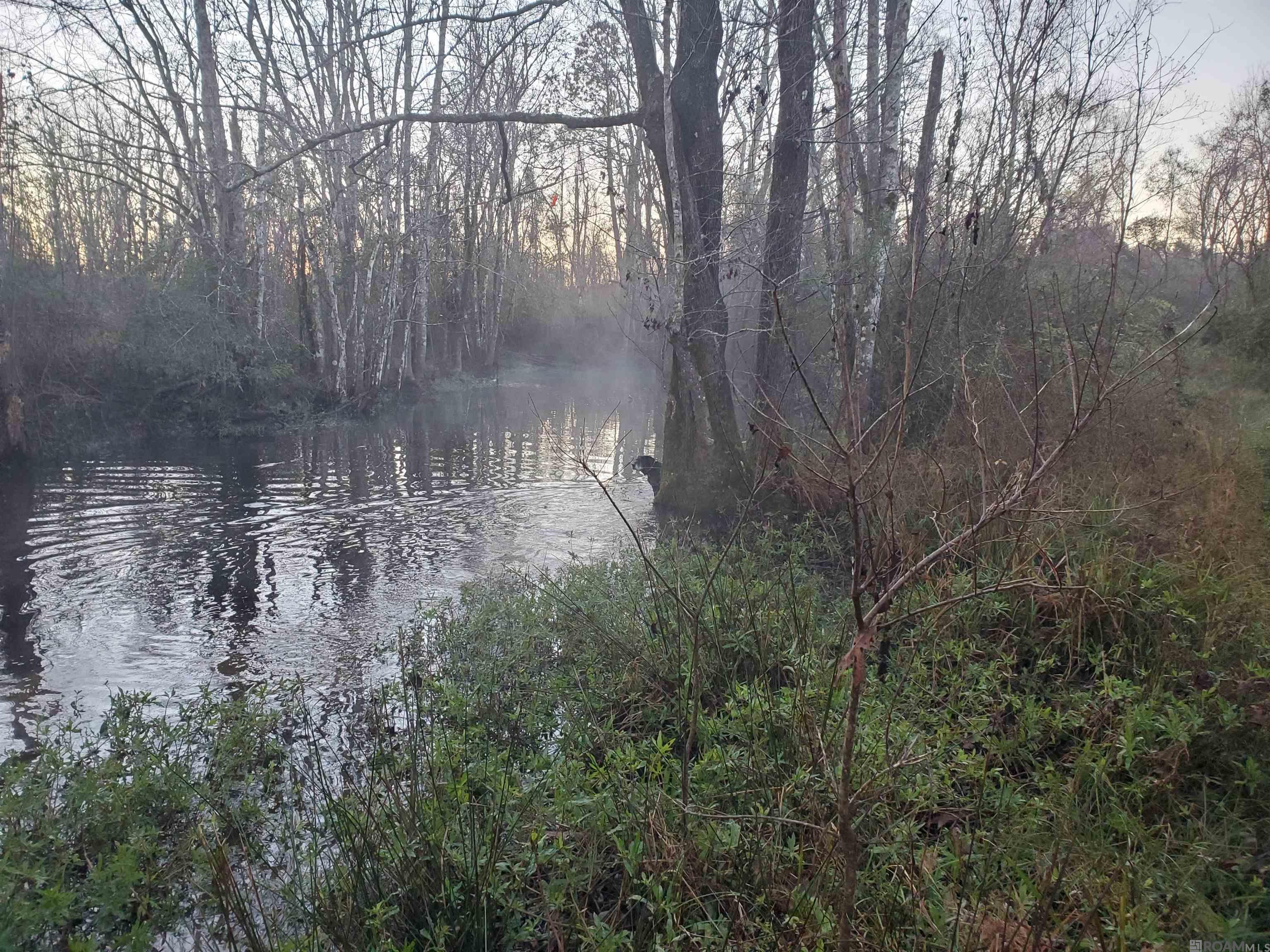 23611 Riley Rd, Pride, Louisiana image 23