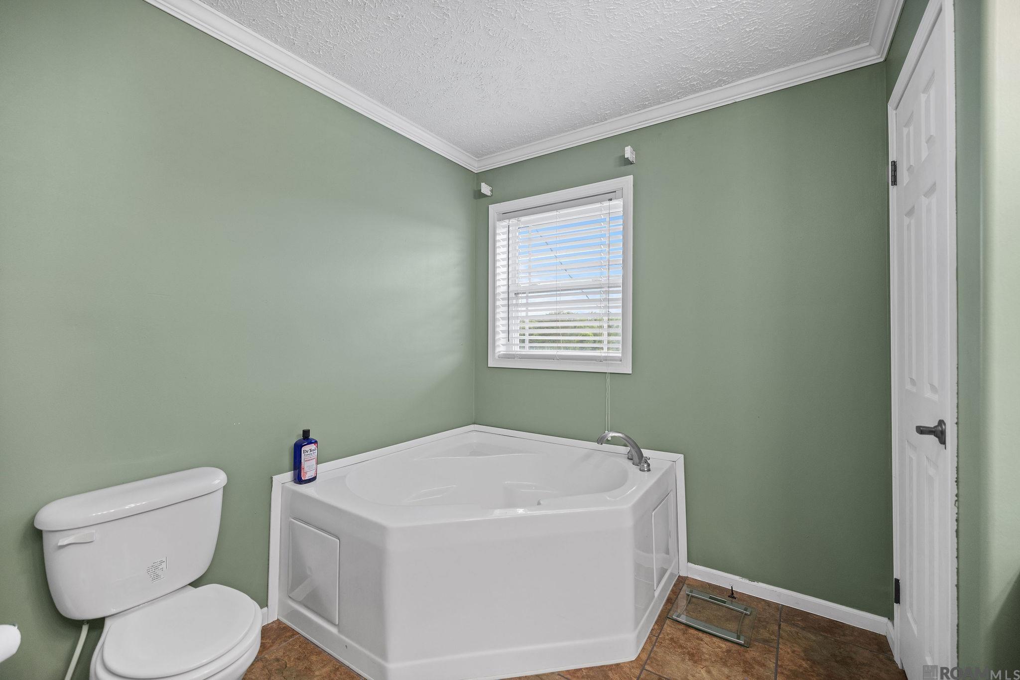 23611 Riley Rd, Pride, Louisiana image 16