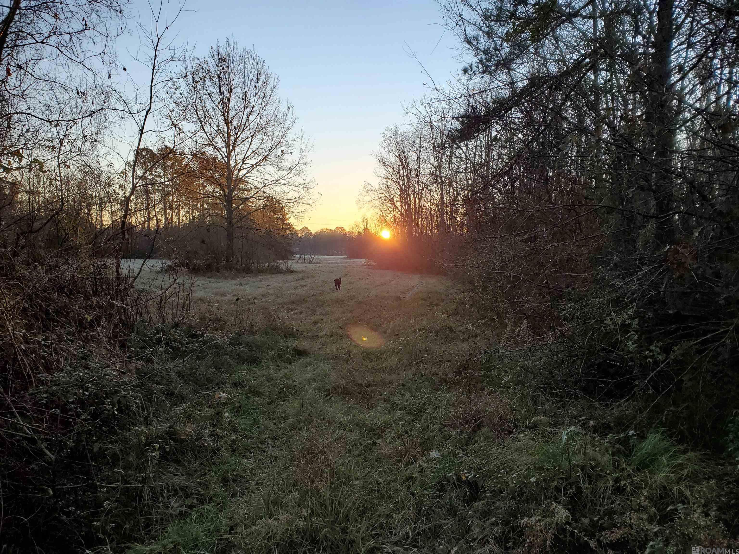 23611 Riley Rd, Pride, Louisiana image 22