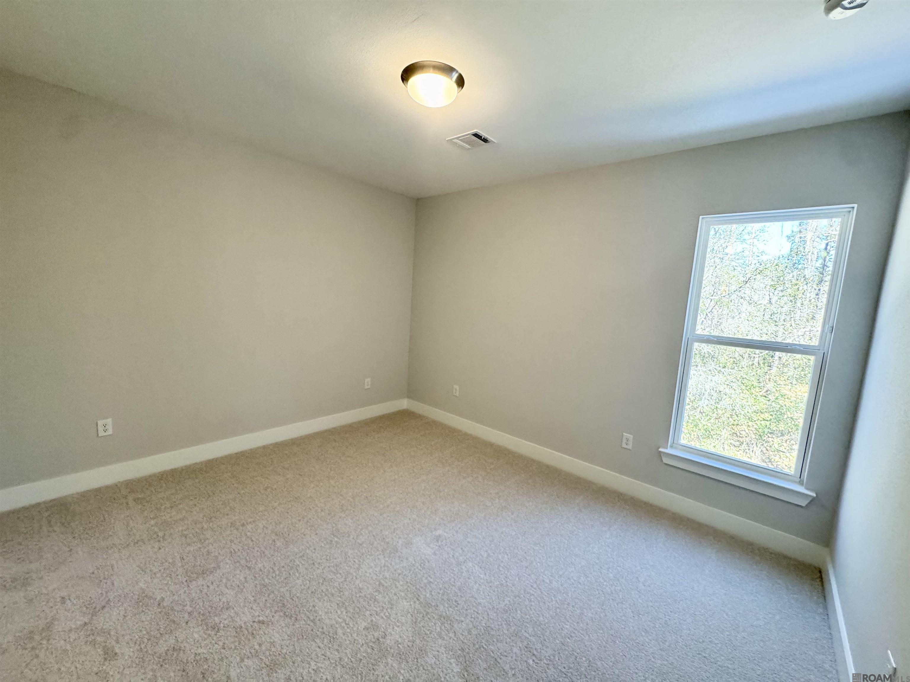 25281 Burlington Dr, Denham Springs, Louisiana image 3