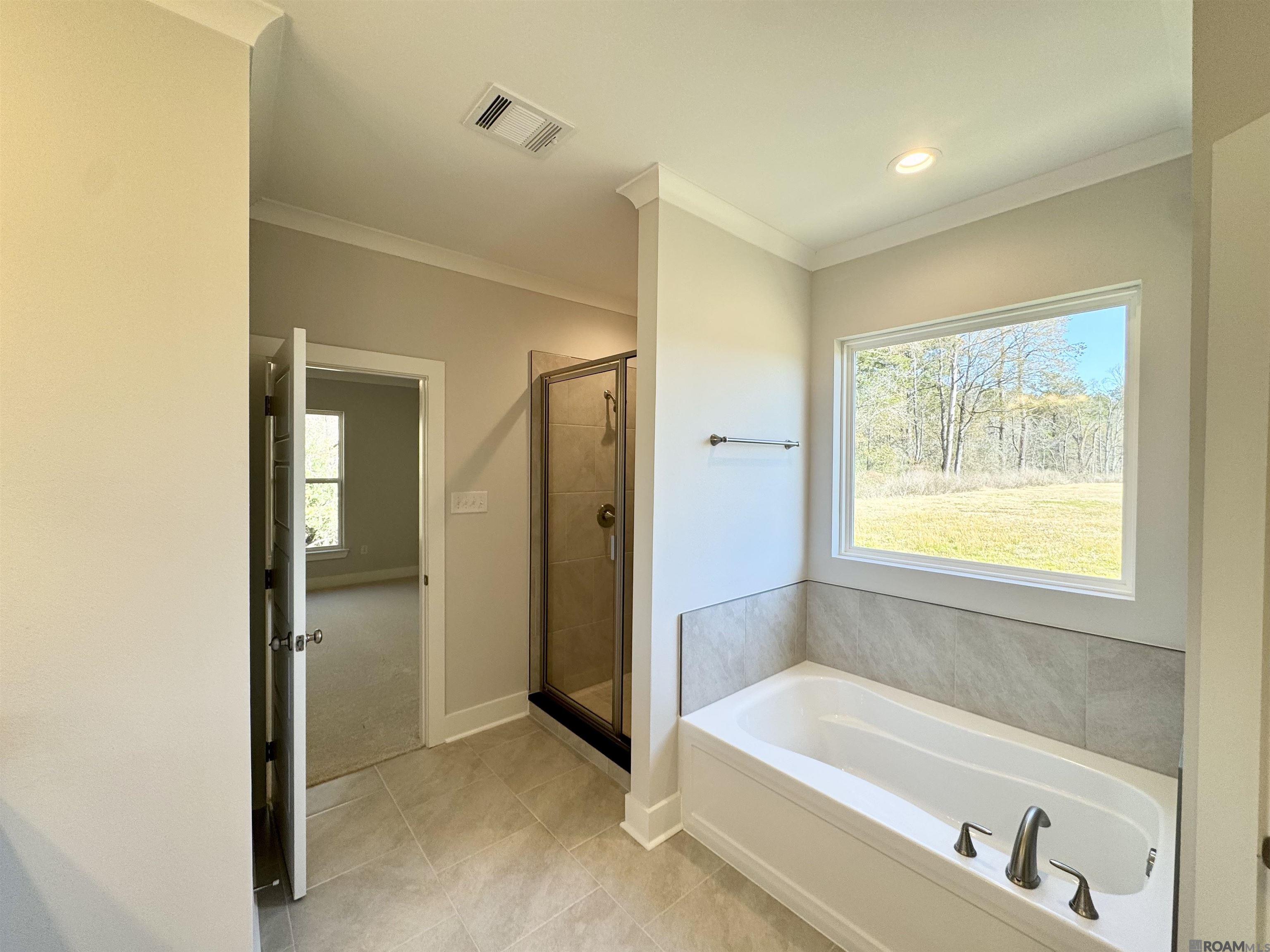 25281 Burlington Dr, Denham Springs, Louisiana image 10