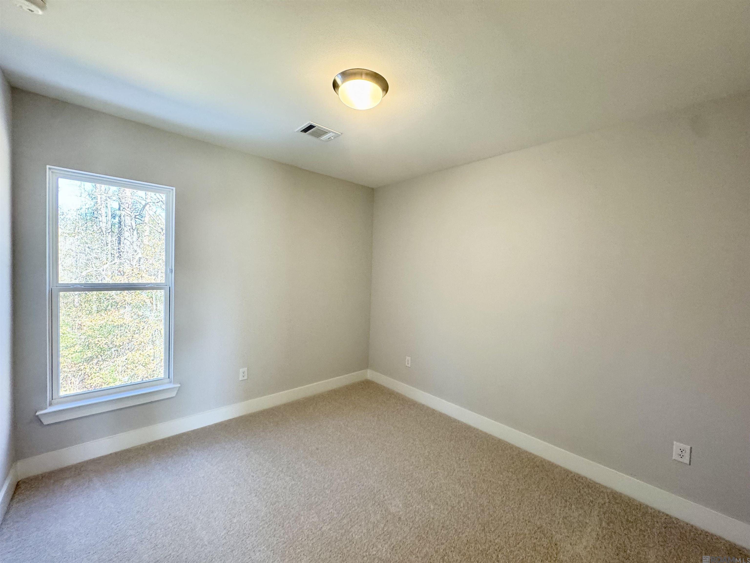 25281 Burlington Dr, Denham Springs, Louisiana image 4
