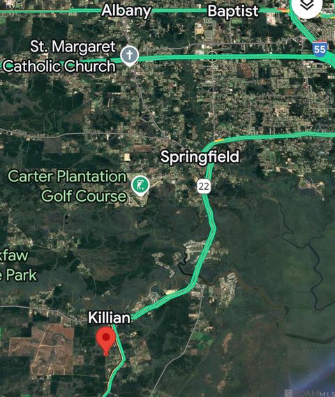 Vacant Land For Sale - 18943 Austin St<br/> Springfield, LA 70462