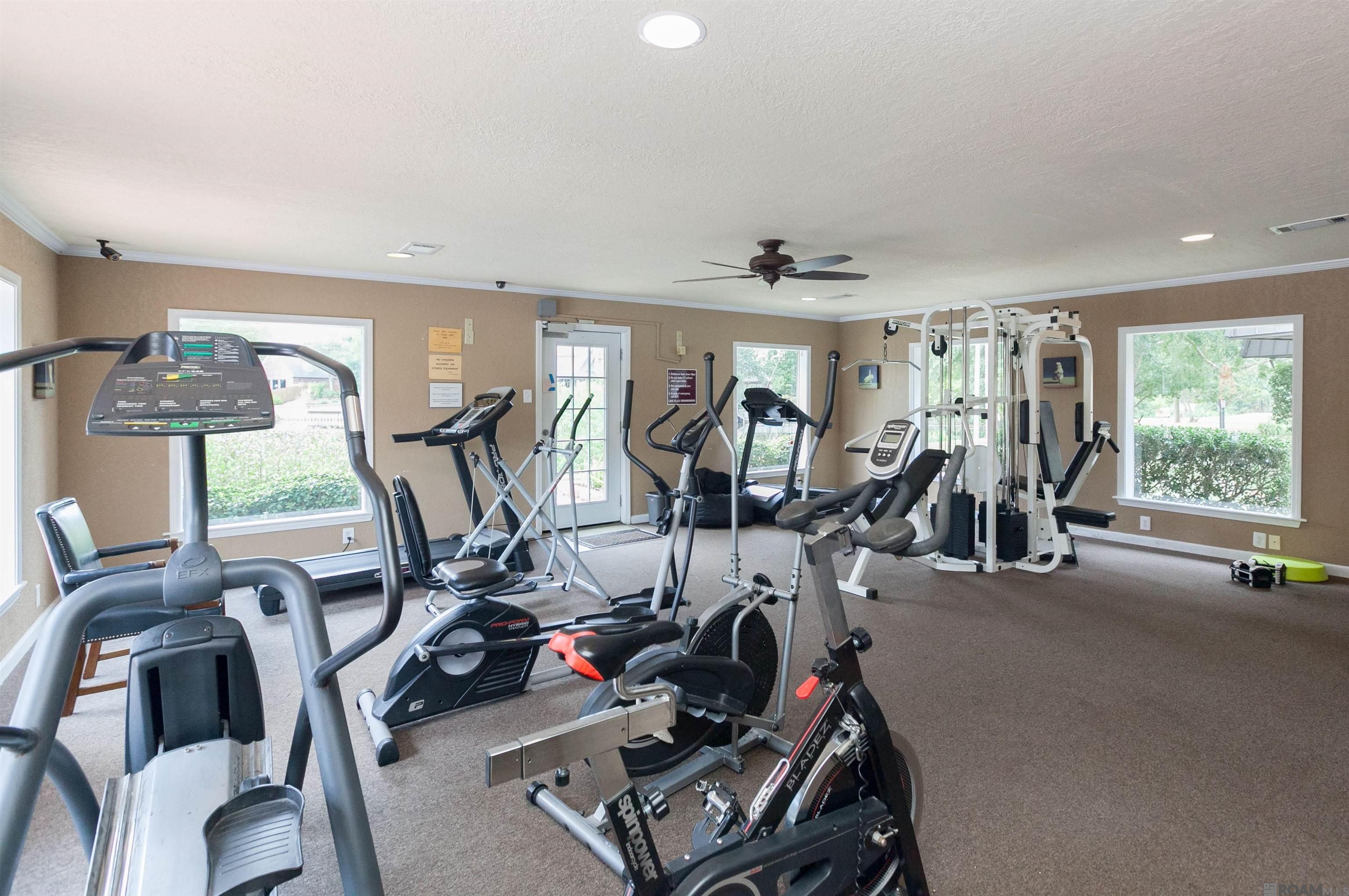 10284 W Winston Ave #2, Baton Rouge, Louisiana image 12