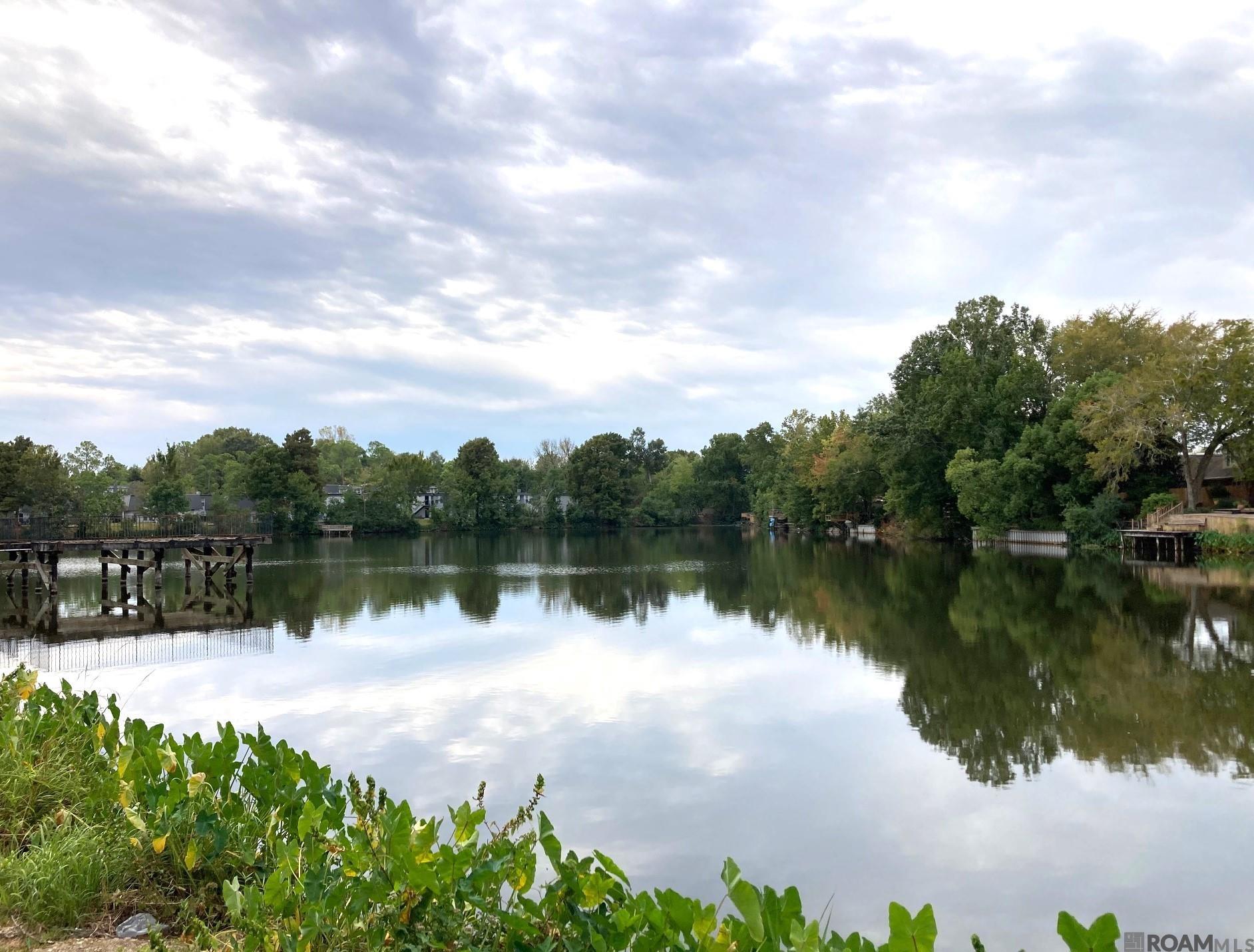 10284 W Winston Ave #2, Baton Rouge, Louisiana image 15