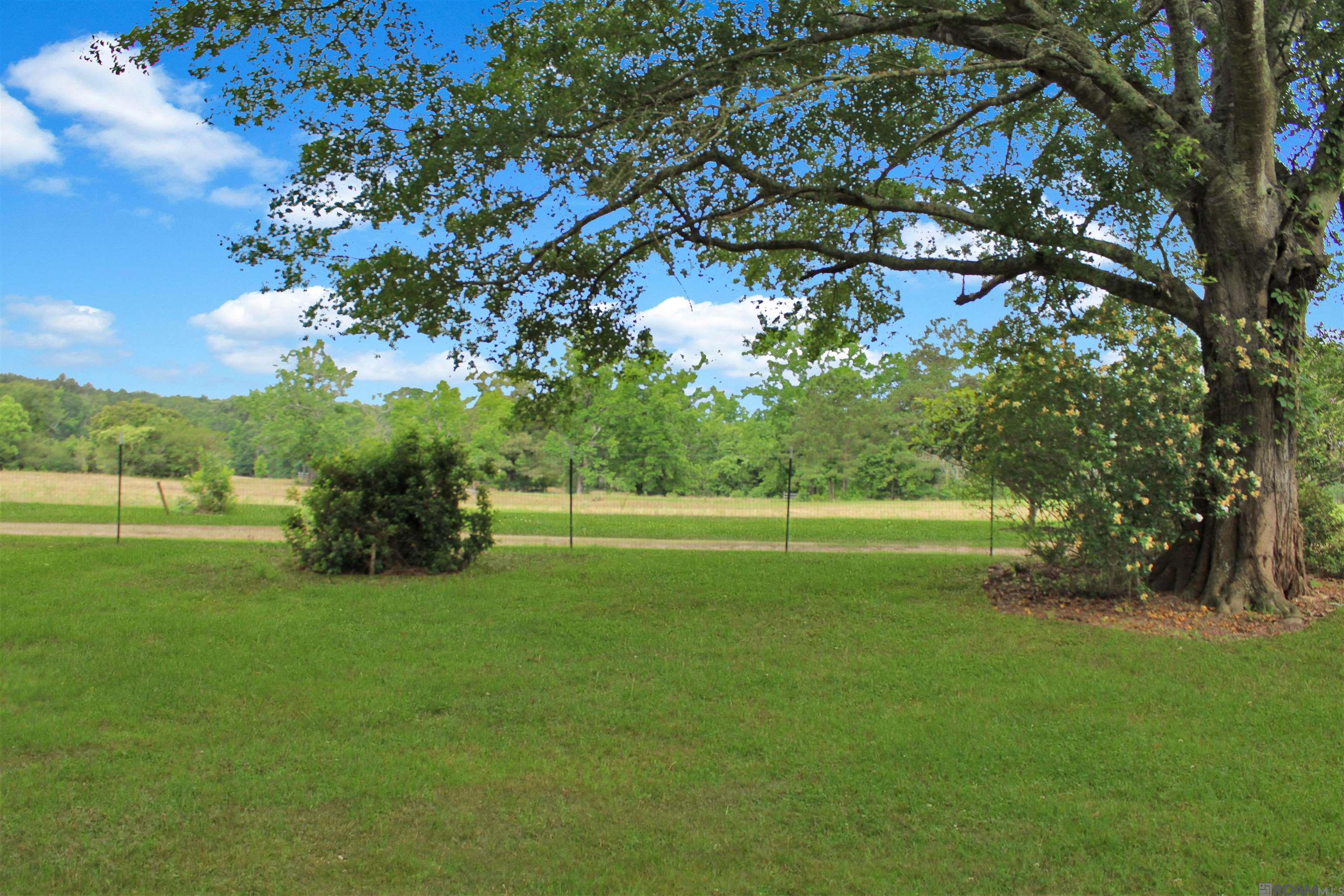 720 Anderson Rd, Amite, Louisiana image 18
