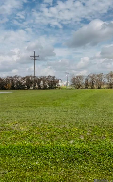 Vacant Land For Sale - Lillian Dr<br/> Plattenville, LA 70393