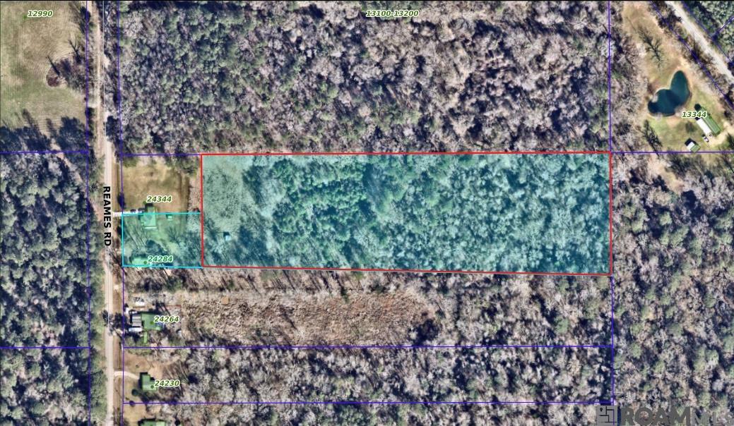 24284 Reames Rd, Zachary, Louisiana image 1