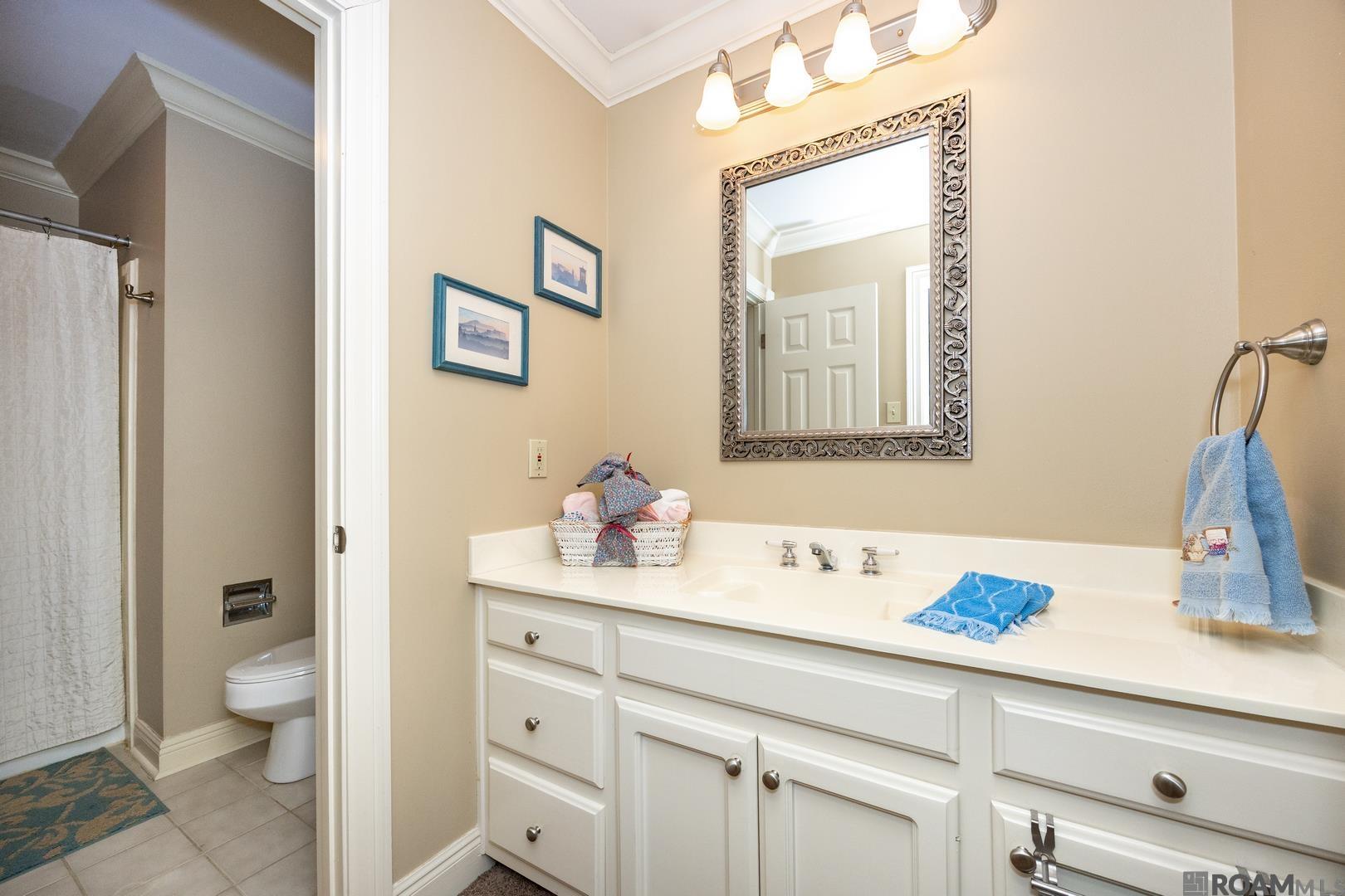 6112 Krista Ln, Baton Rouge, Louisiana image 24