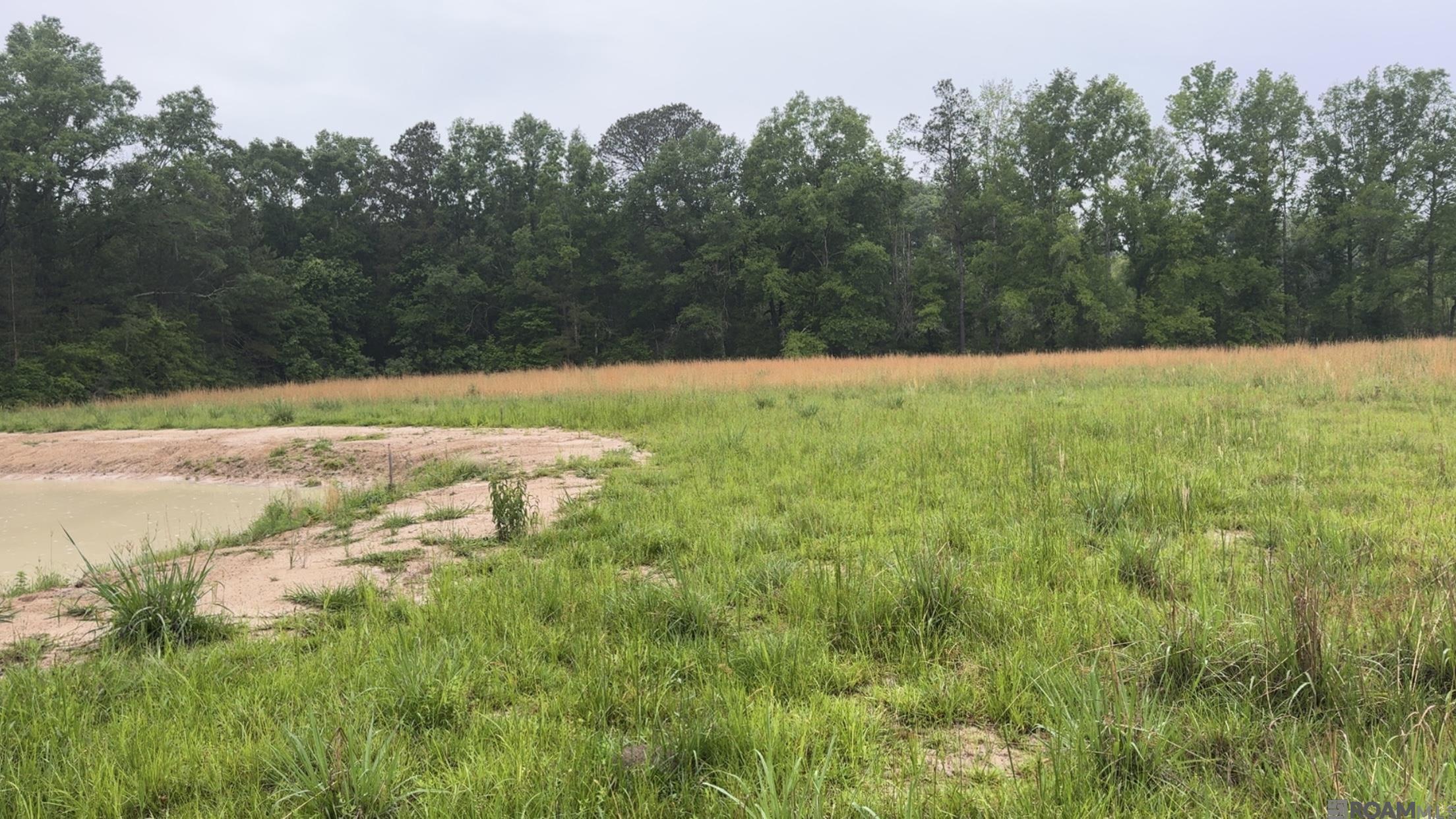 20182 La Hwy 10, Kentwood, Louisiana image 4