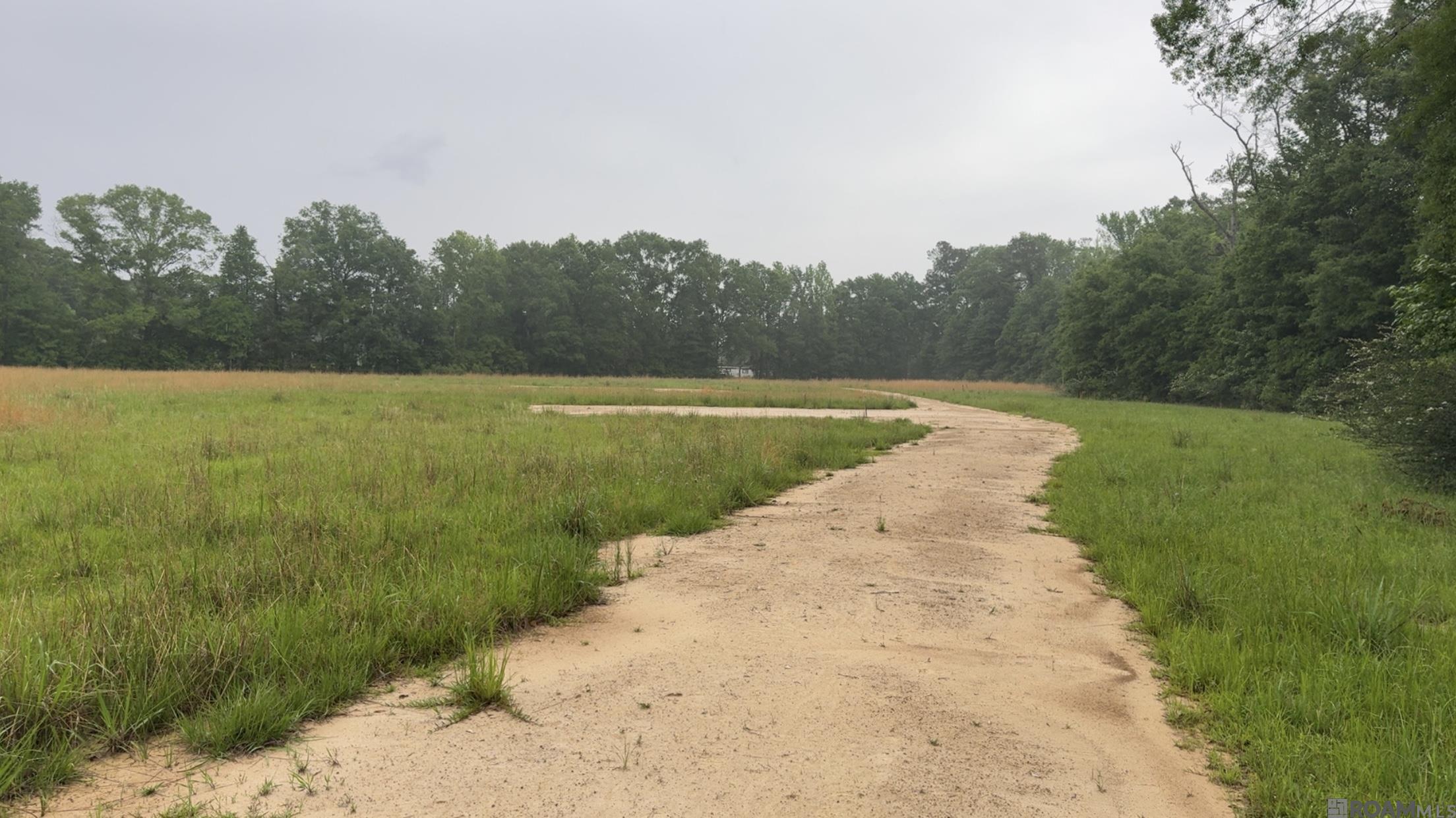 20182 La Hwy 10, Kentwood, Louisiana image 5