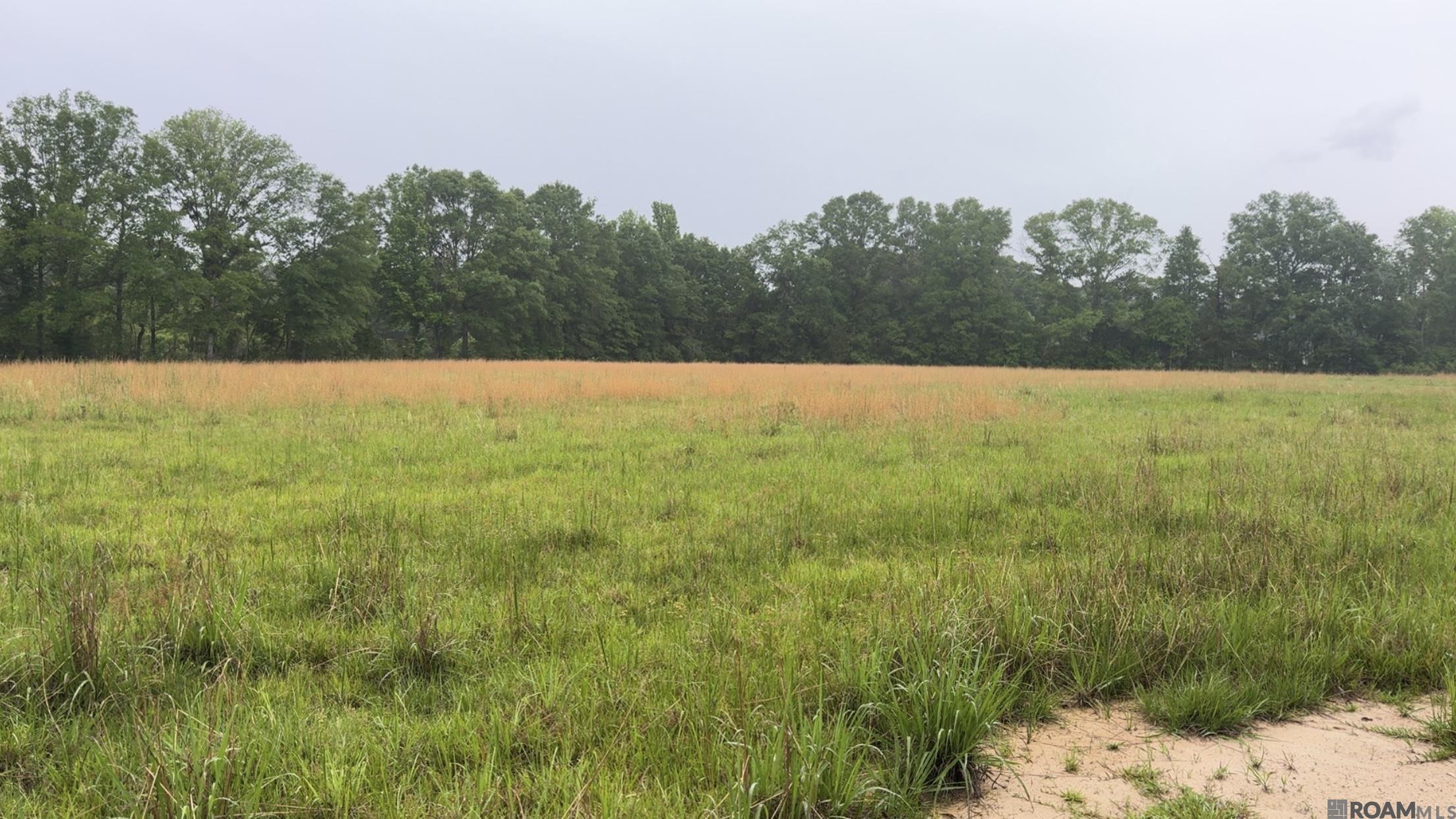 20182 La Hwy 10, Kentwood, Louisiana image 3