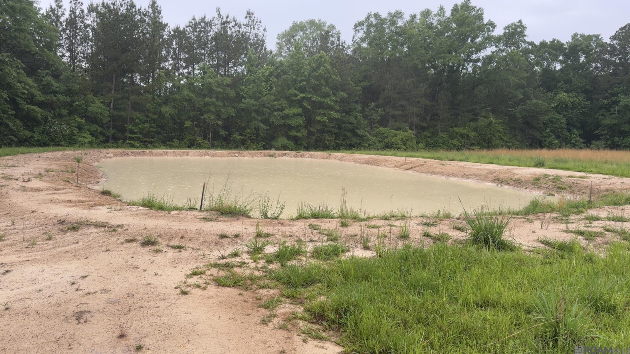 20182 La Hwy 10, Kentwood, Louisiana image 2