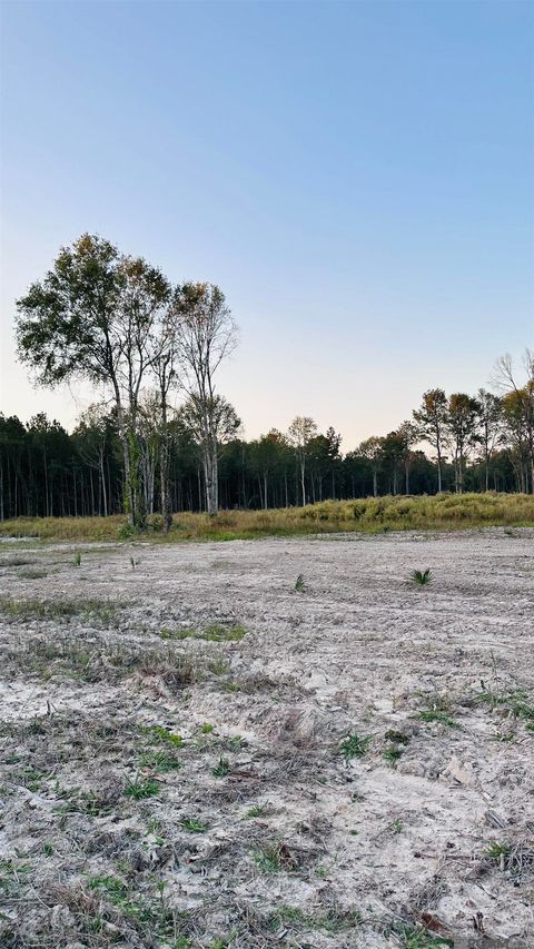 Vacant Land For Sale - 16361 Peacock Drive<br/> Walker, LA 70785