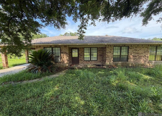 15357 HENDERSON BAYOU RD, PRAIRIEVILLE, LA 70769 - Image 0fcbaa137c8fbdd8a56893cac83dad91/4096847451