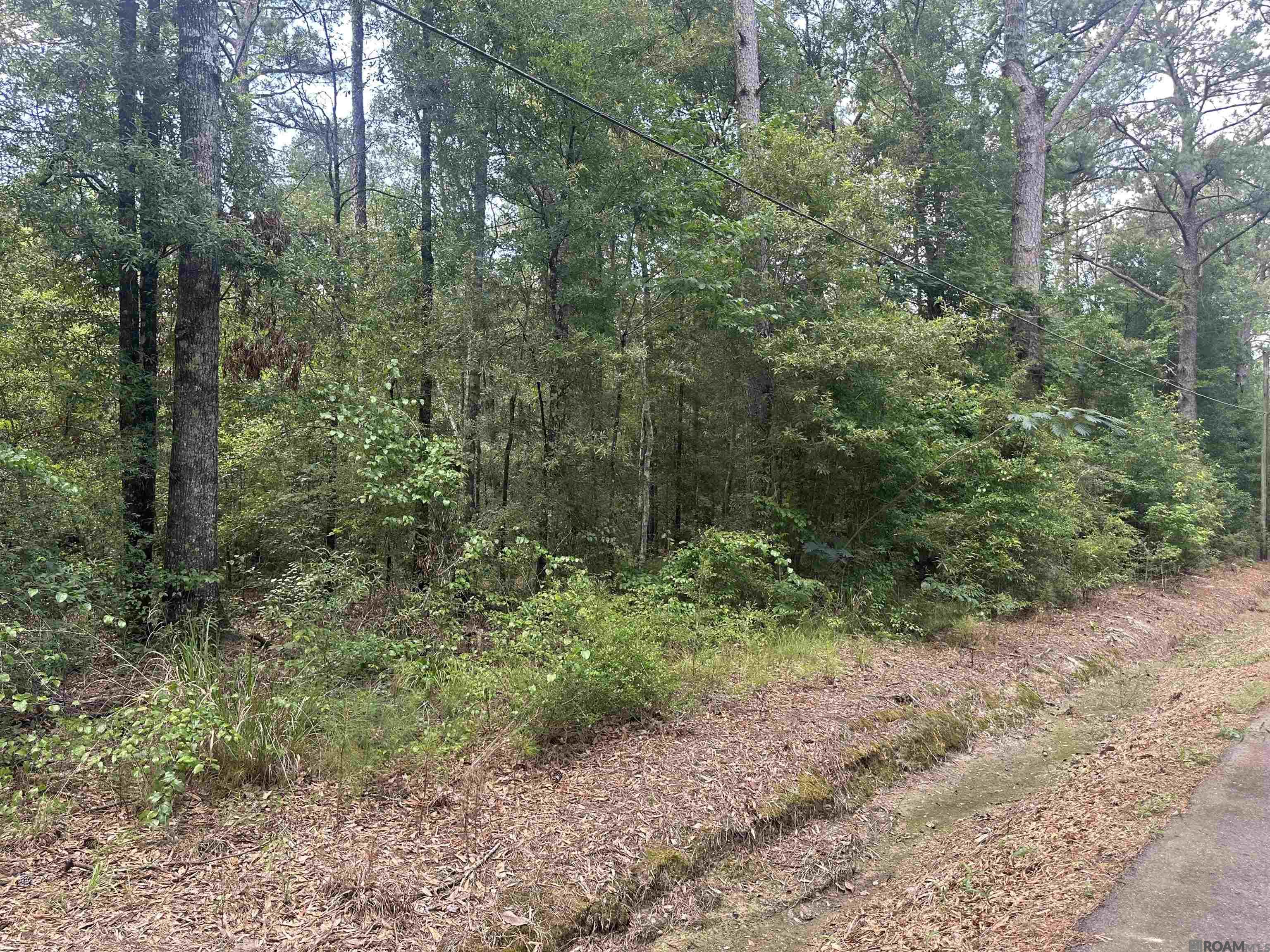 23547 Heritage Acres Ln, Robert, Louisiana image 27